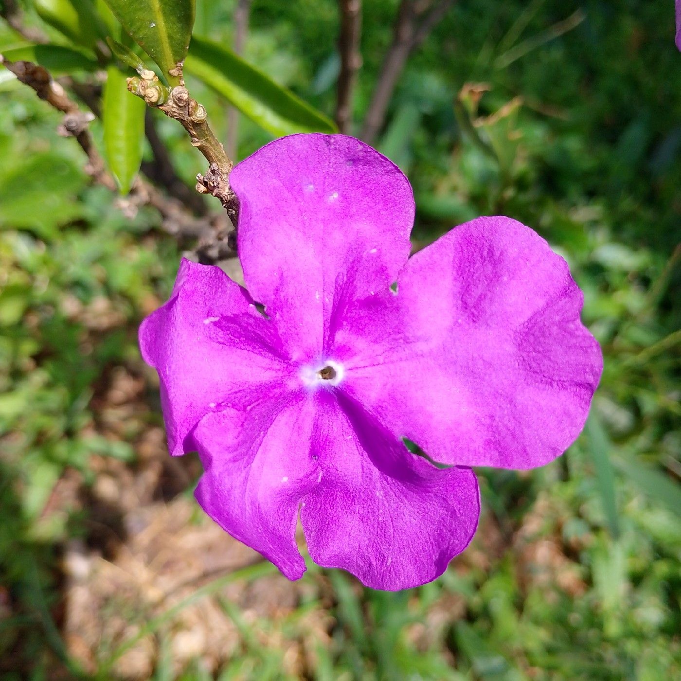 Adquiriendo un hábito saludable