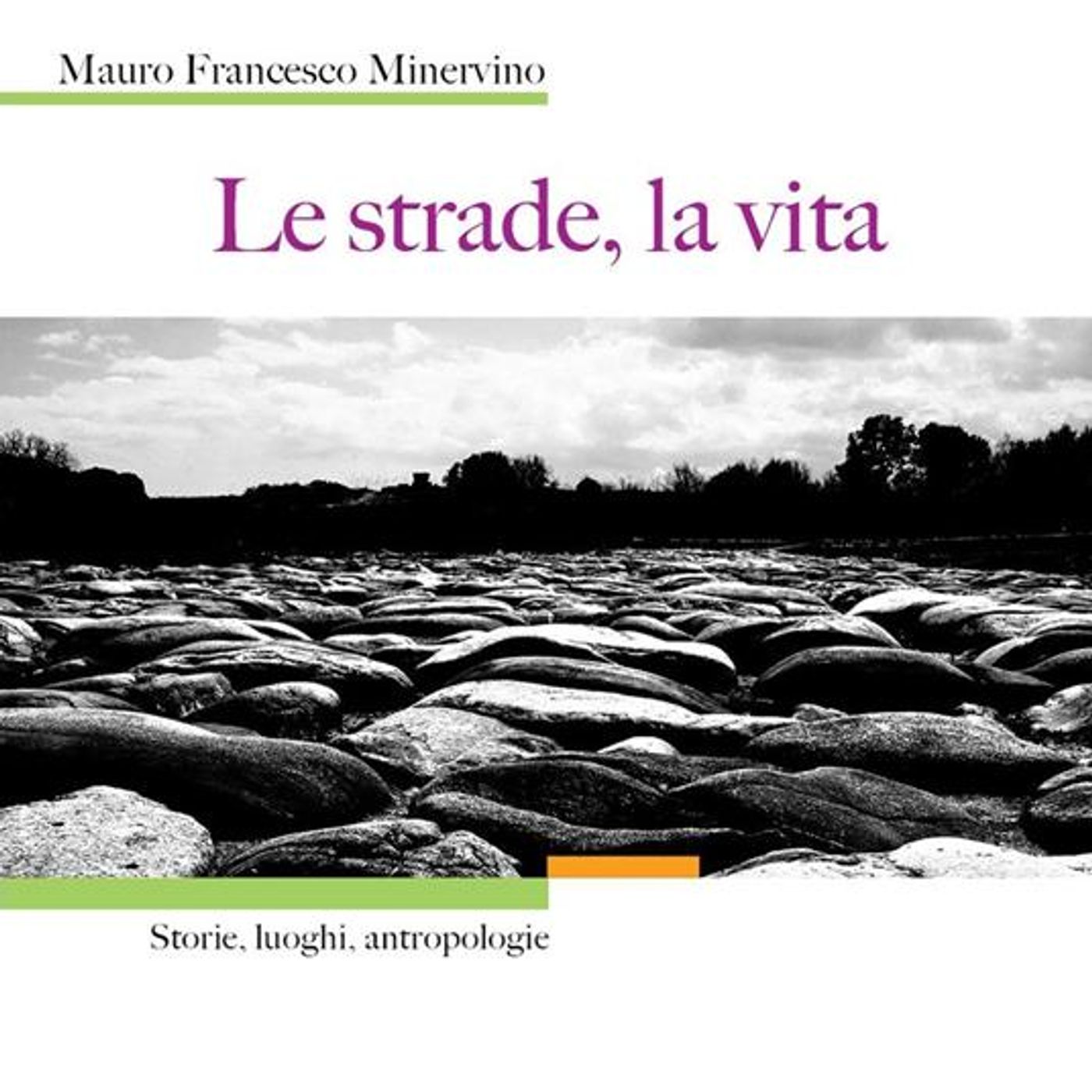 Mauro Francesco Minervino "Le strade, la vita"