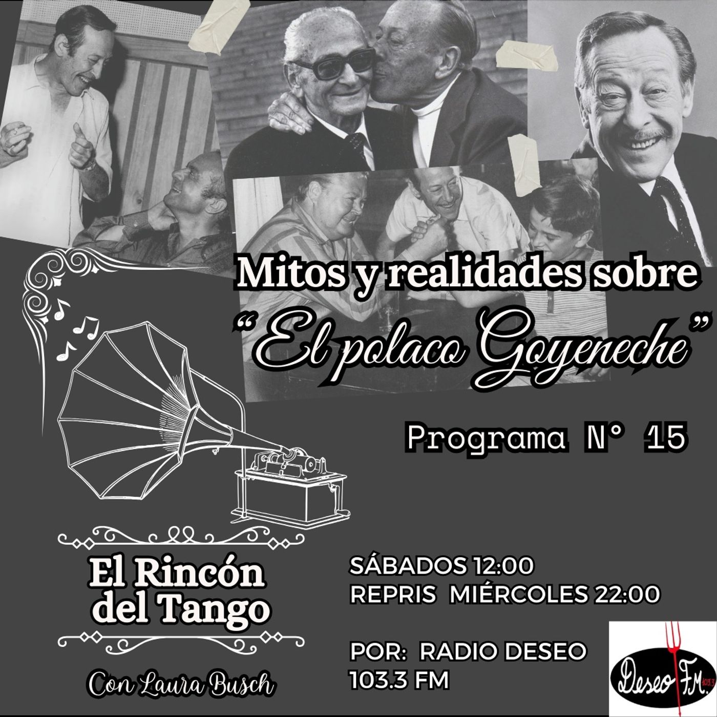 Programa 15 - Mitos y realidades sobre el Polaco Goyeneche episode artwork