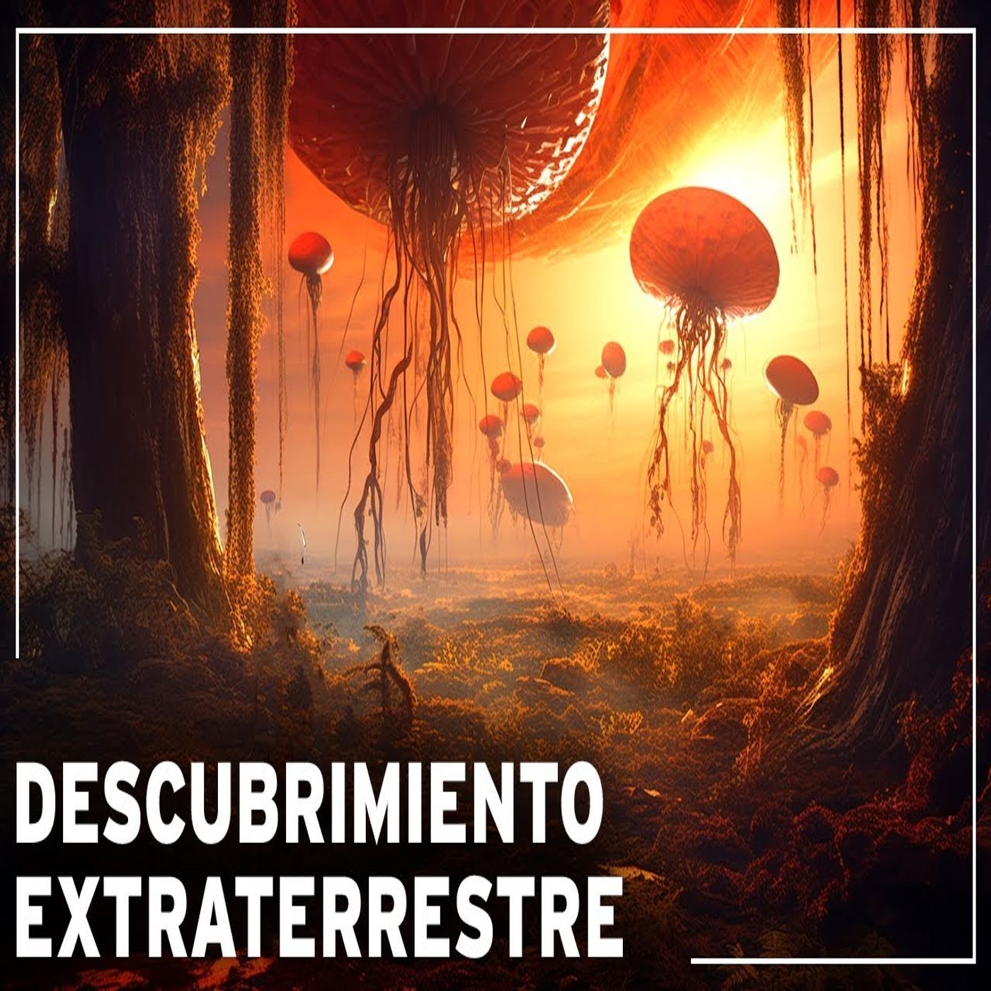Jodisea Mundo Odiseas Documentales Podcast para dormir en Español Audio Libros Historia Niños+Adulto