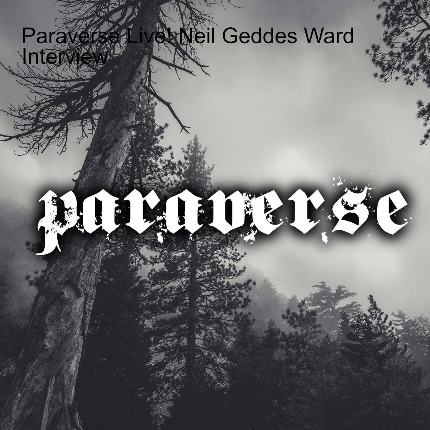 Paraverse - Live show and podcast series