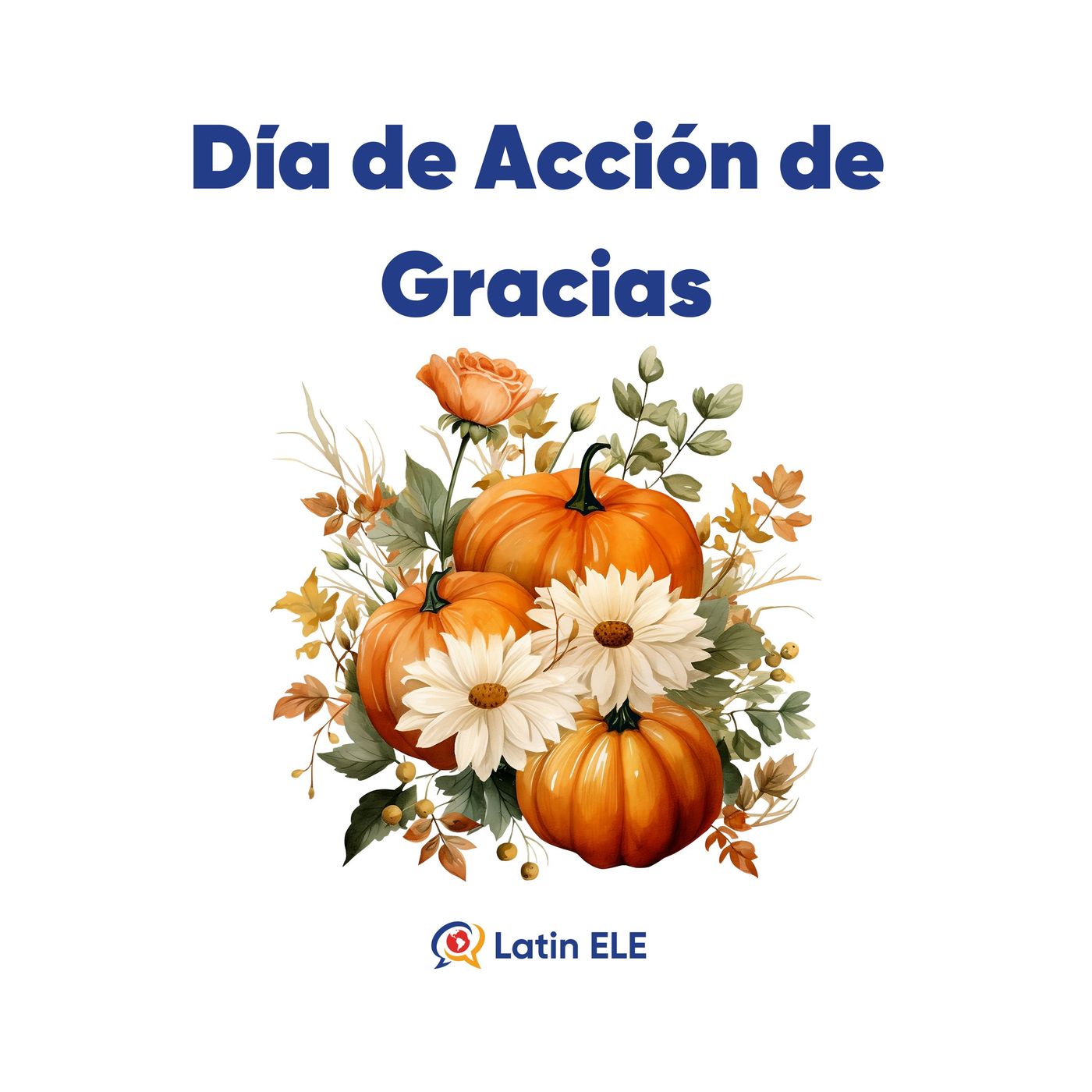 3. Día de Acción de Gracias 🦃 (Thanksgiving)