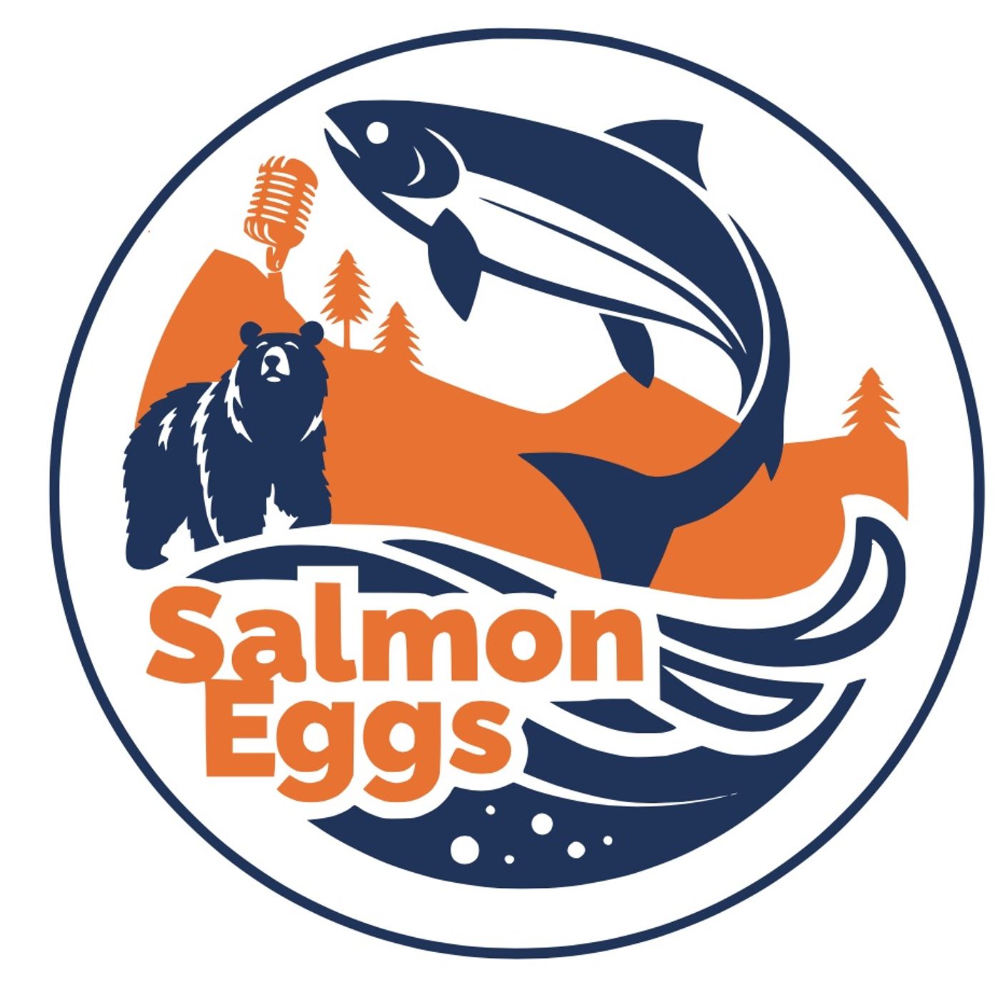 Copertina di Salmon Eggs