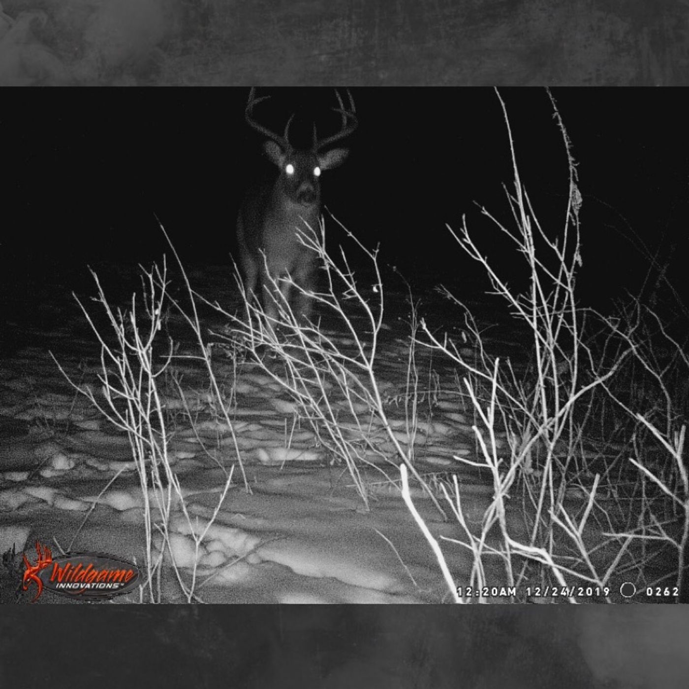 Episode 6 - Trail Cameras
