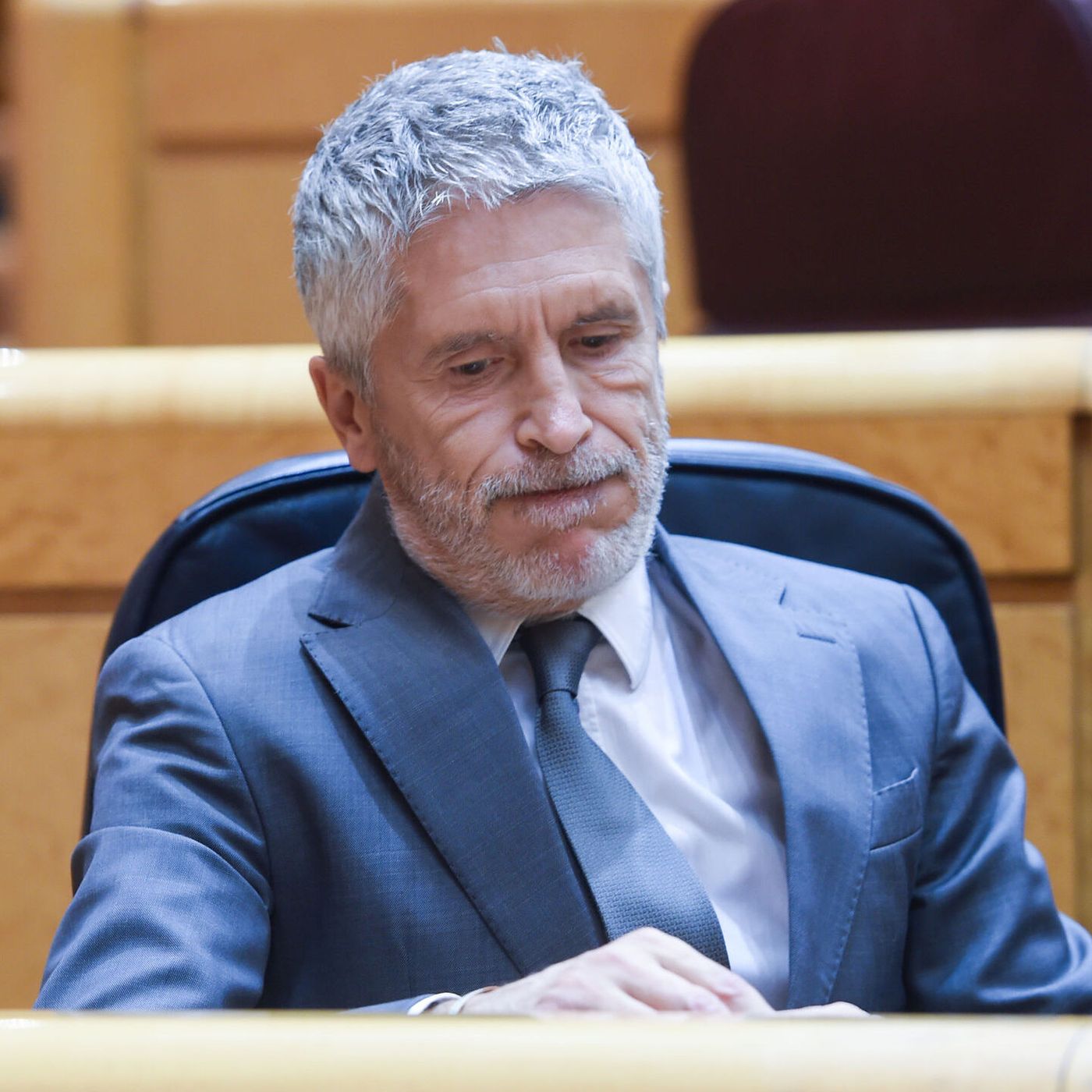 Tertulia de Dieter: La situación de Fernando Grande-Marlaska