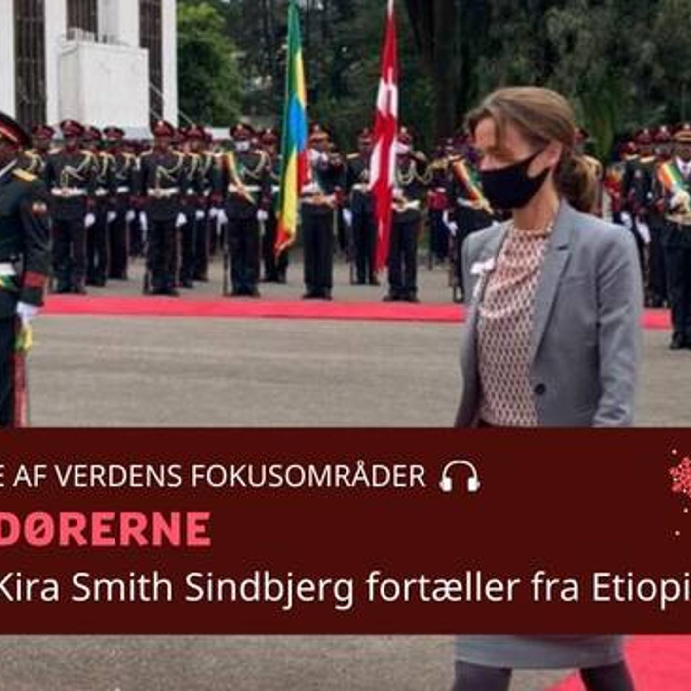 Ambassadørerne