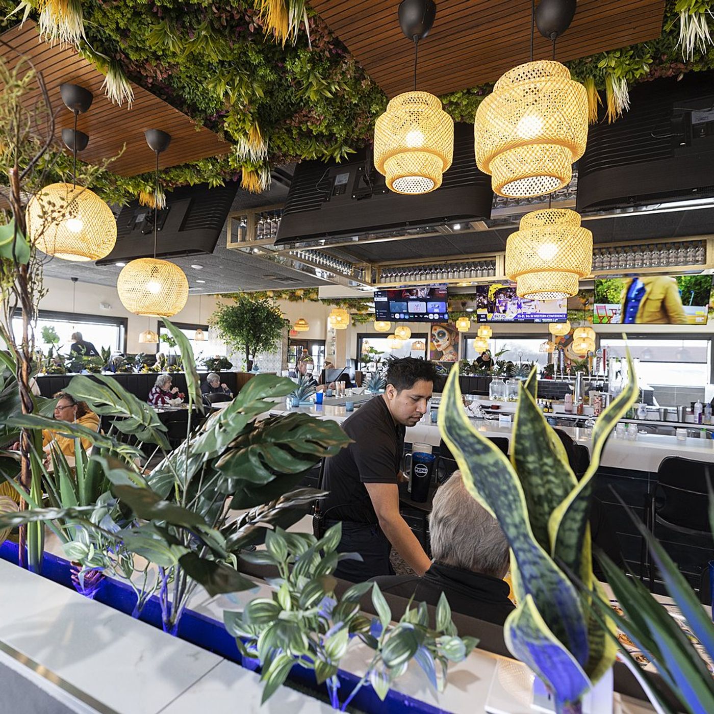 Sterling’s new Mexican restaurant features margaritas, bountiful birria episode artwork