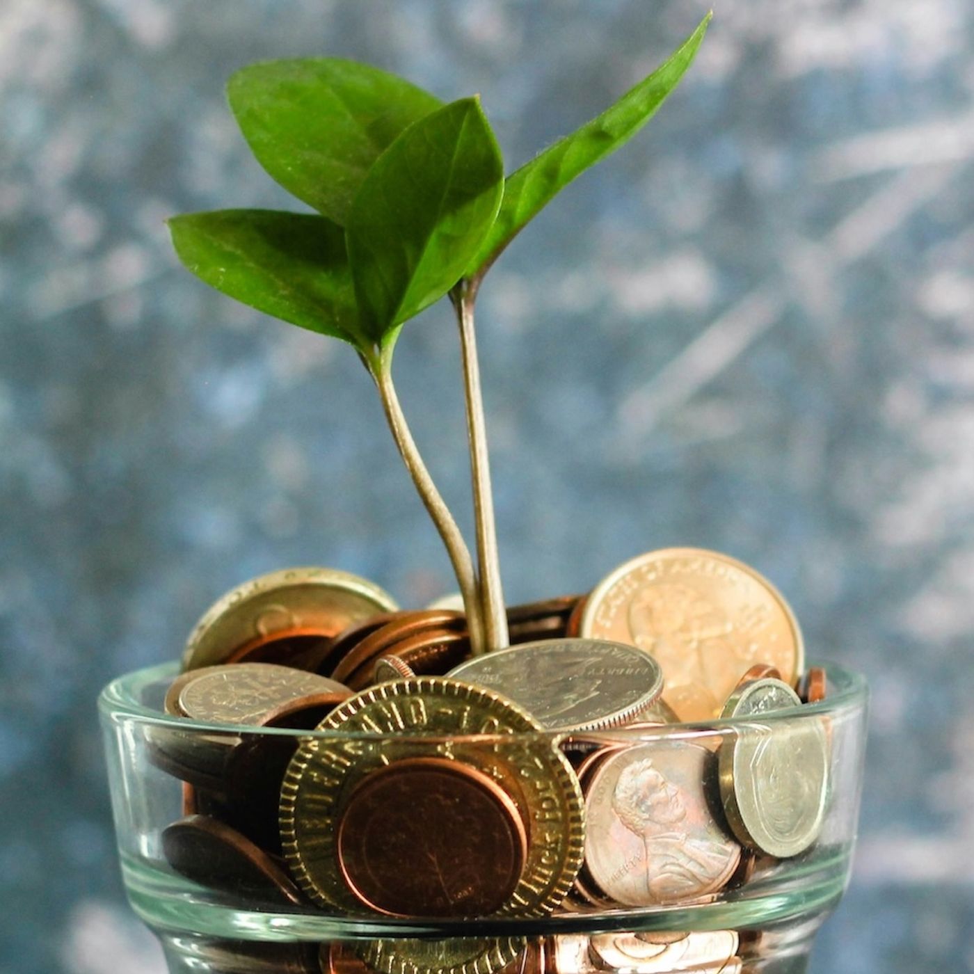 IW145 - Come si costruisce un round pre-seed da oltre 3 milioni?