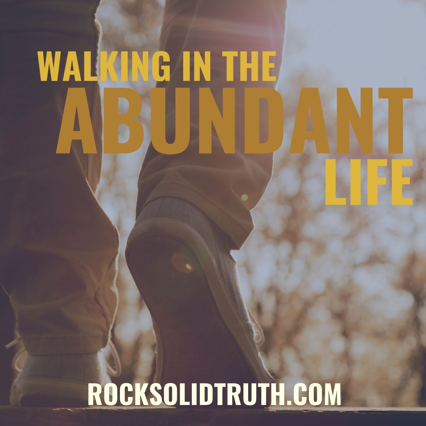 Walking In The Abundant Life