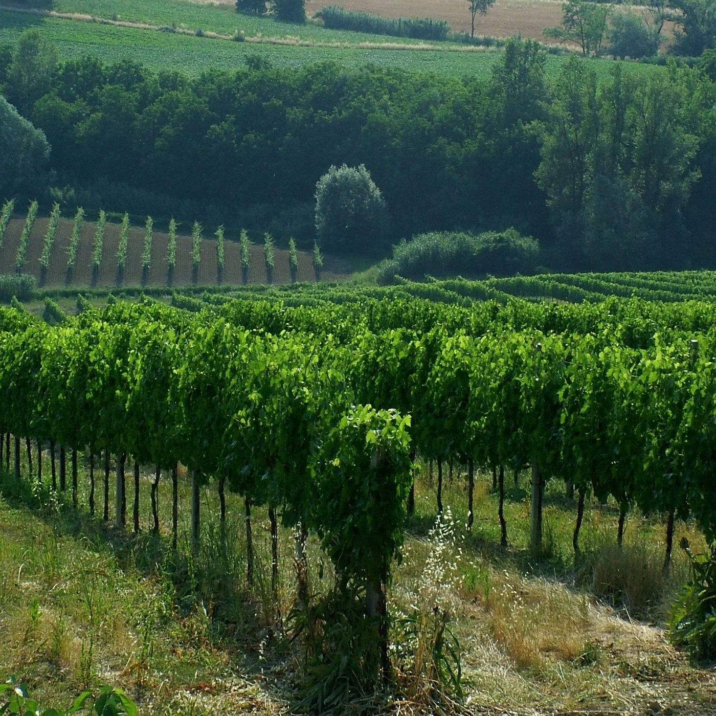 Un giorno in Romagna cover art