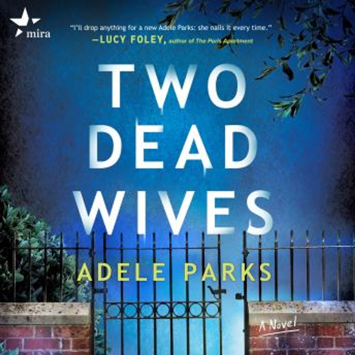 Grab the Essential Full Audiobooks in Fiction, Contemporary Women