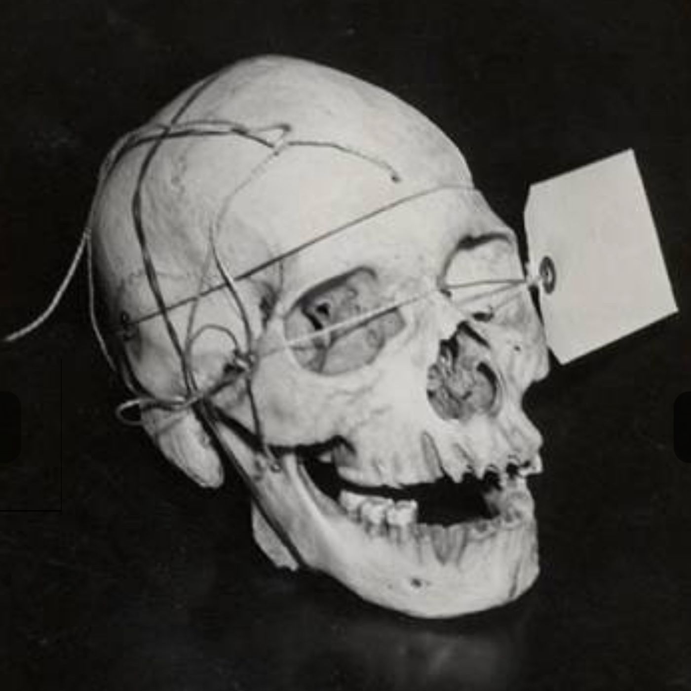 Malice: A True Crime Podcast