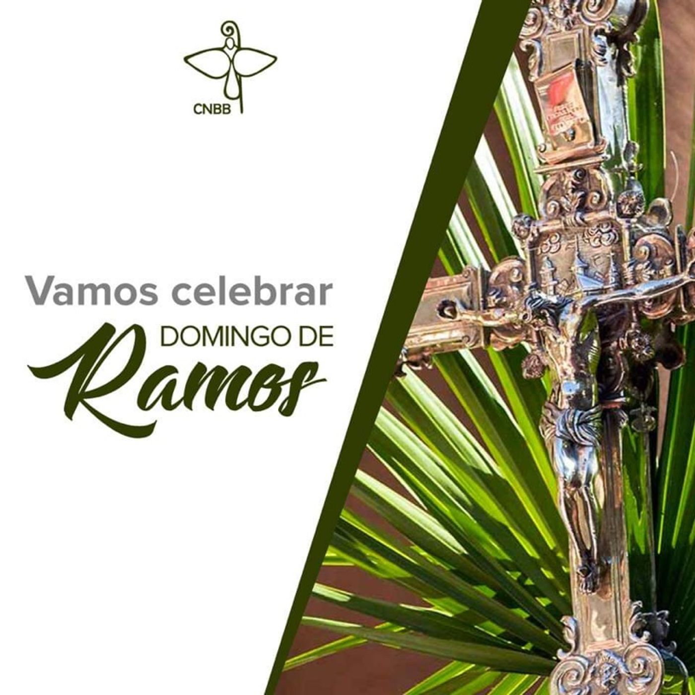 Desdobrando a Palavra de Deus