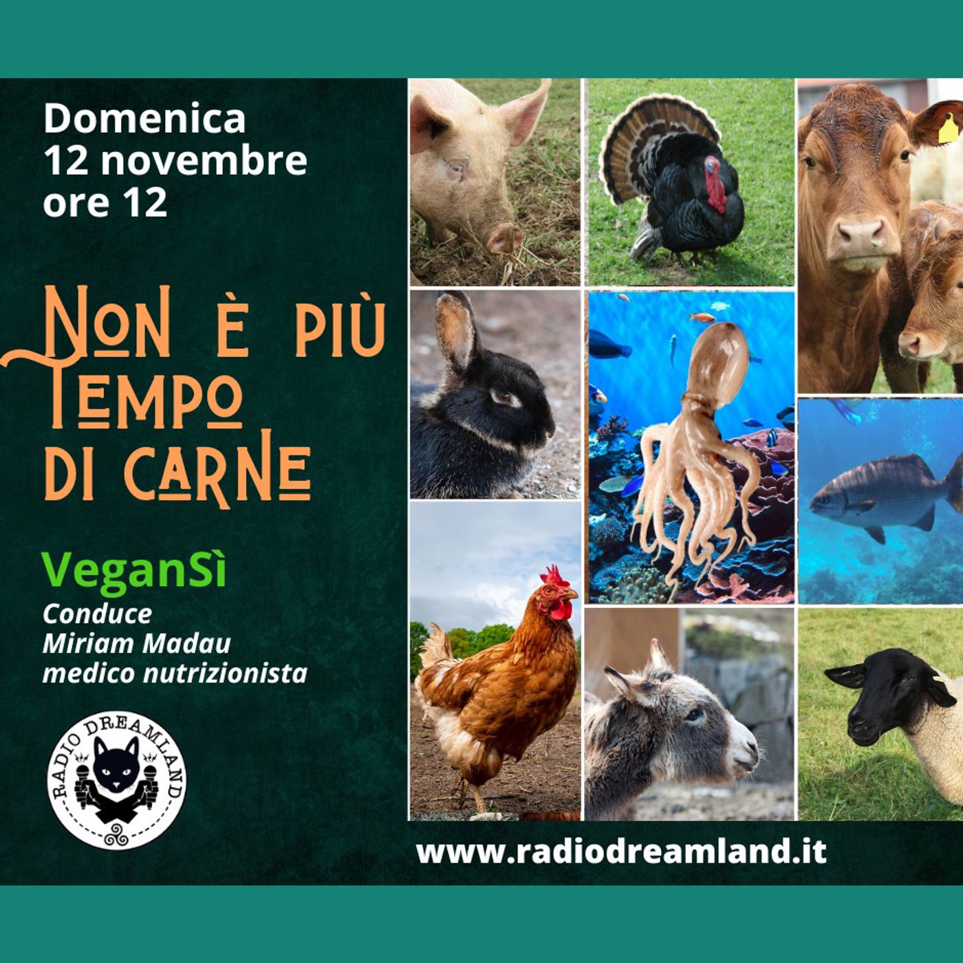 Non è più tempo di carne episode artwork