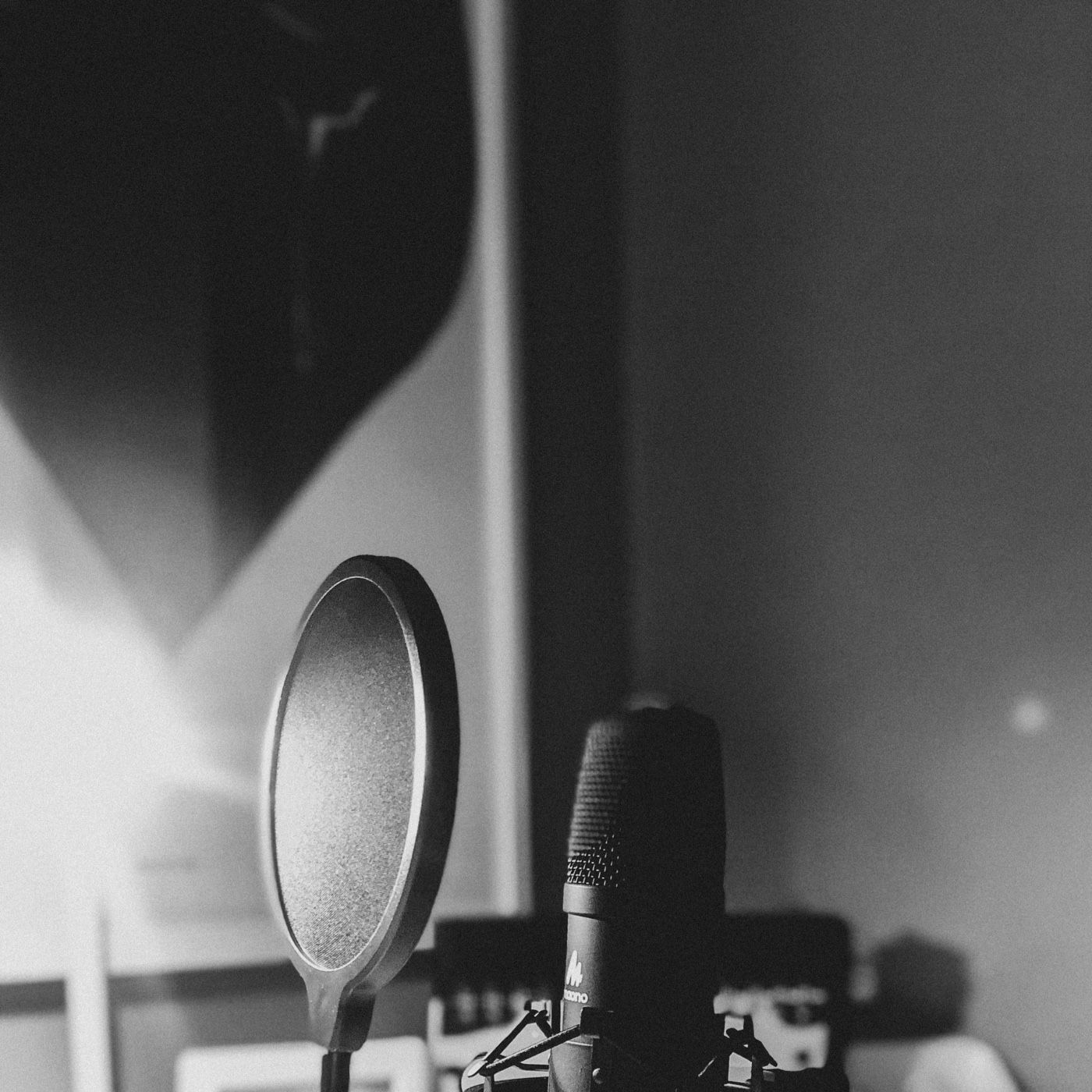 Voces docente -El currículo en educación cover art