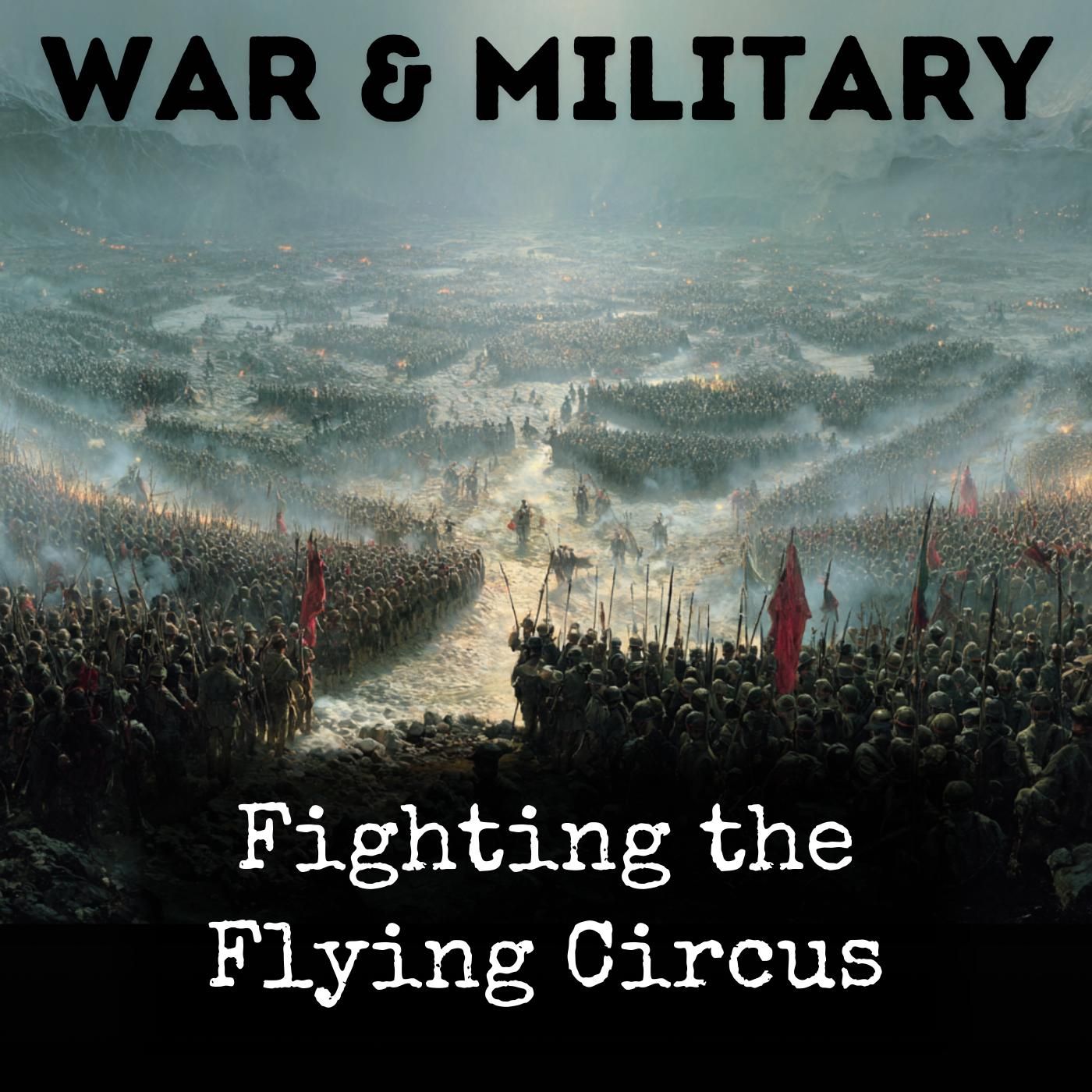 Fighting the Flying Circus