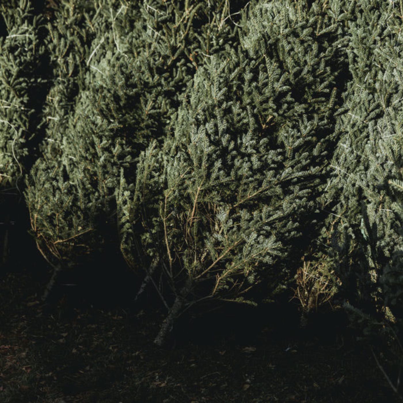 Davi Sodré Luz\'s podcast