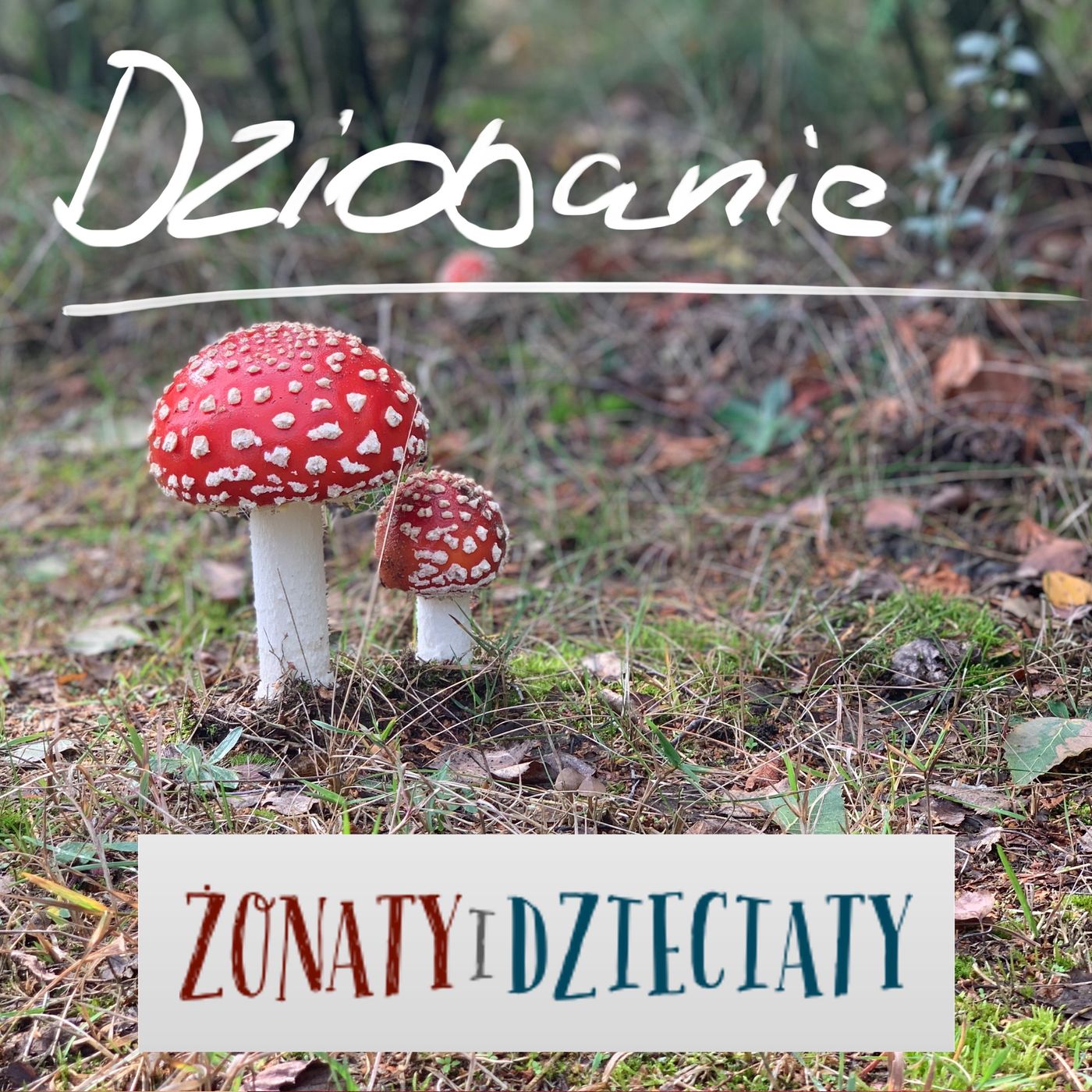 Dziobanie
