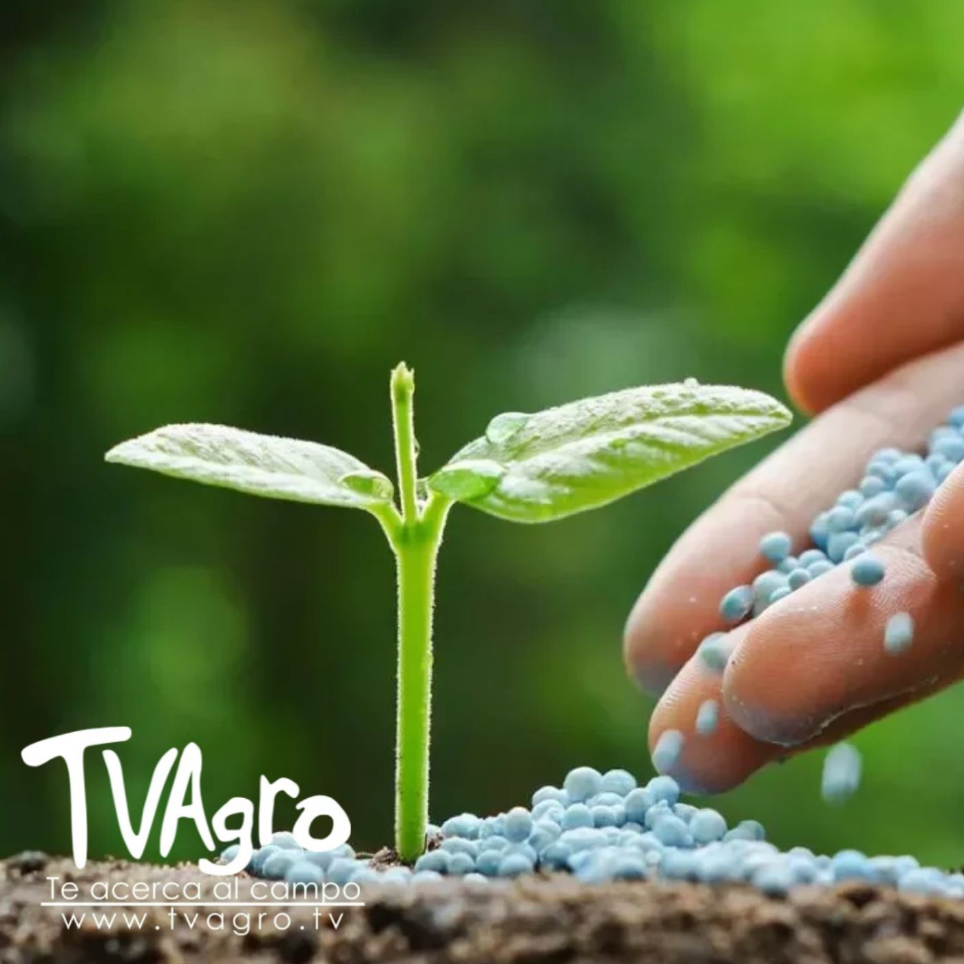 TV AGRO