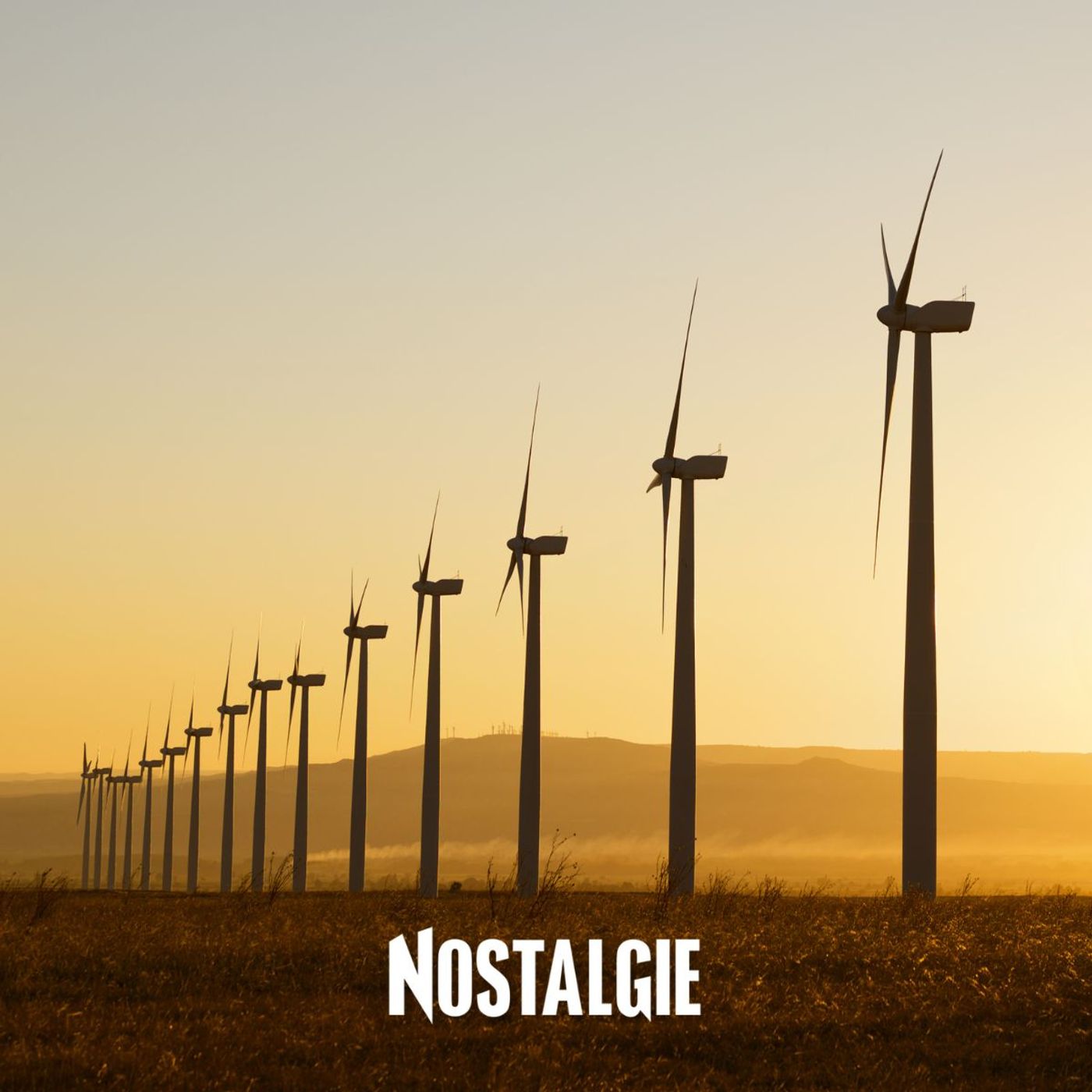 Baisse de la déforestation, énergies renouvelables : quelles sont les bonnes nouvelles de 2024 ? episode artwork