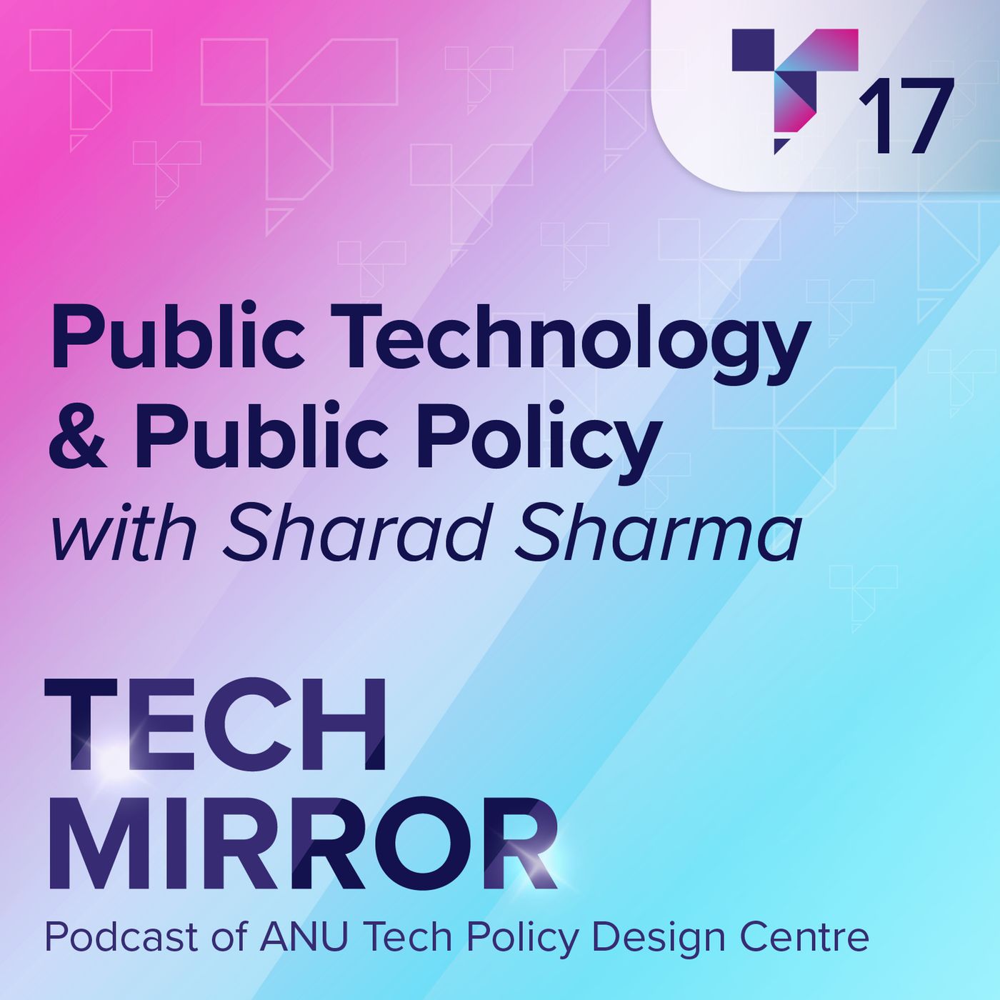 Public Technology and Public Policy episode artwork