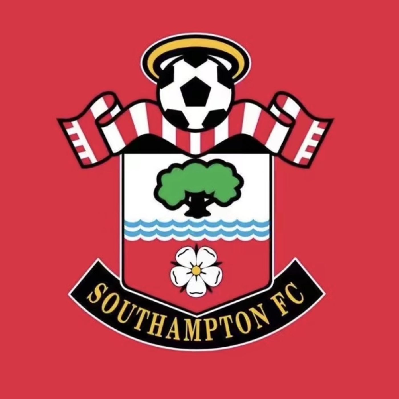 S99E30: I Don't Suppose Southampton Got Anything Worthwhile Out Of This - Trevor Gear On "Spygate"