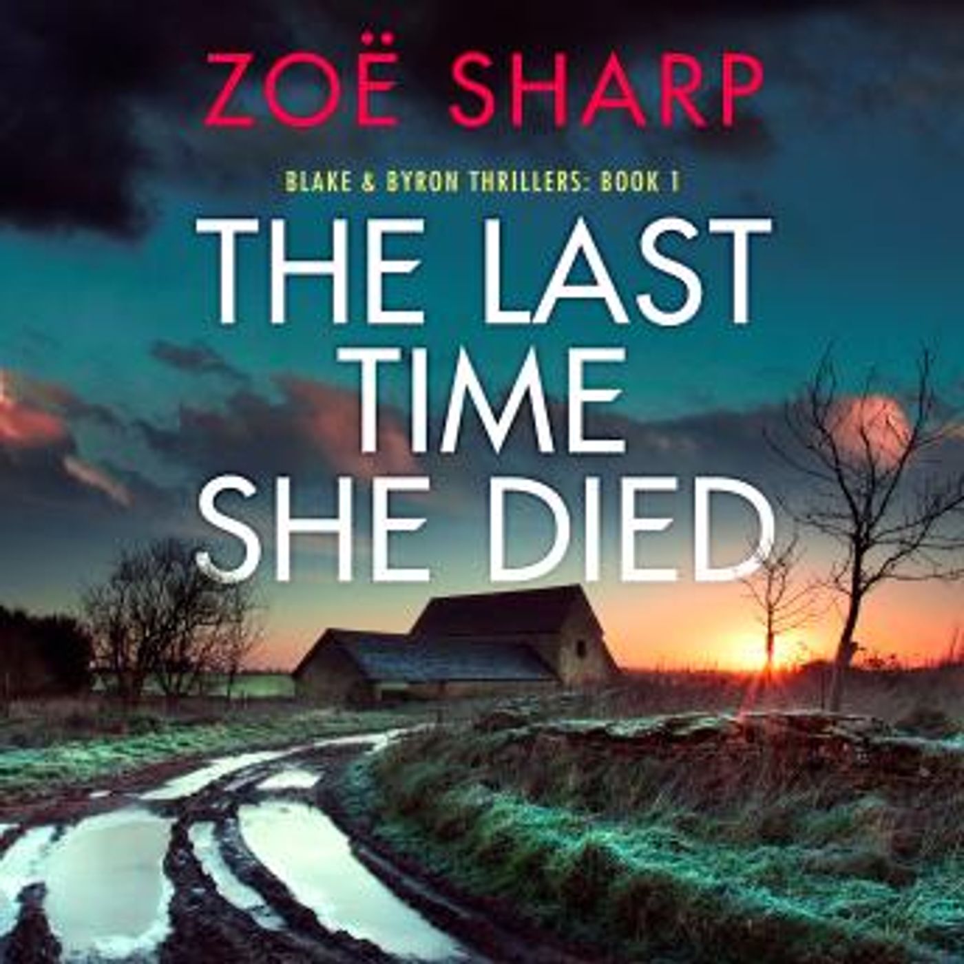 The Last Time She Died: A totally unputdownable crime thriller with a mind-blowing twist by Zoë Sharp episode artwork