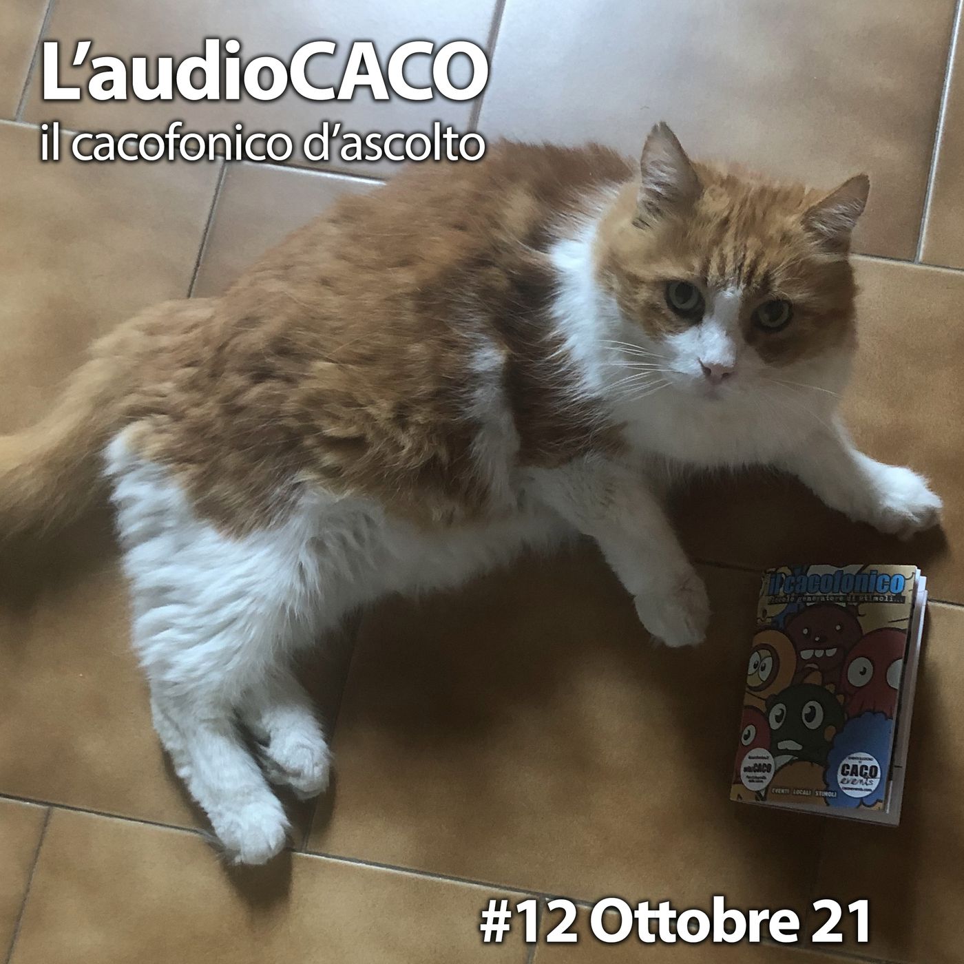 l\'audioCACO