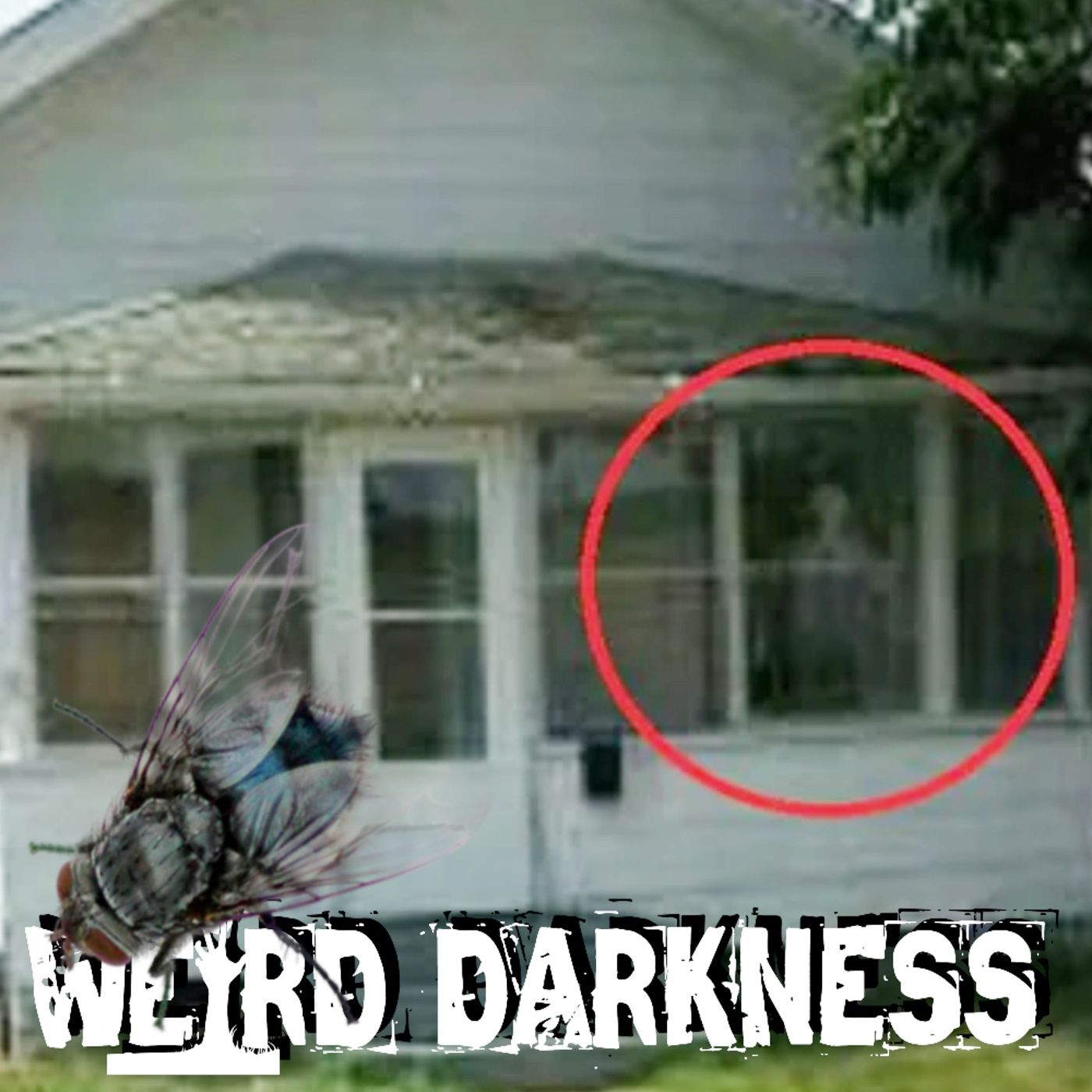 Latoya Ammons And The Demon House Of Gary, Indiana