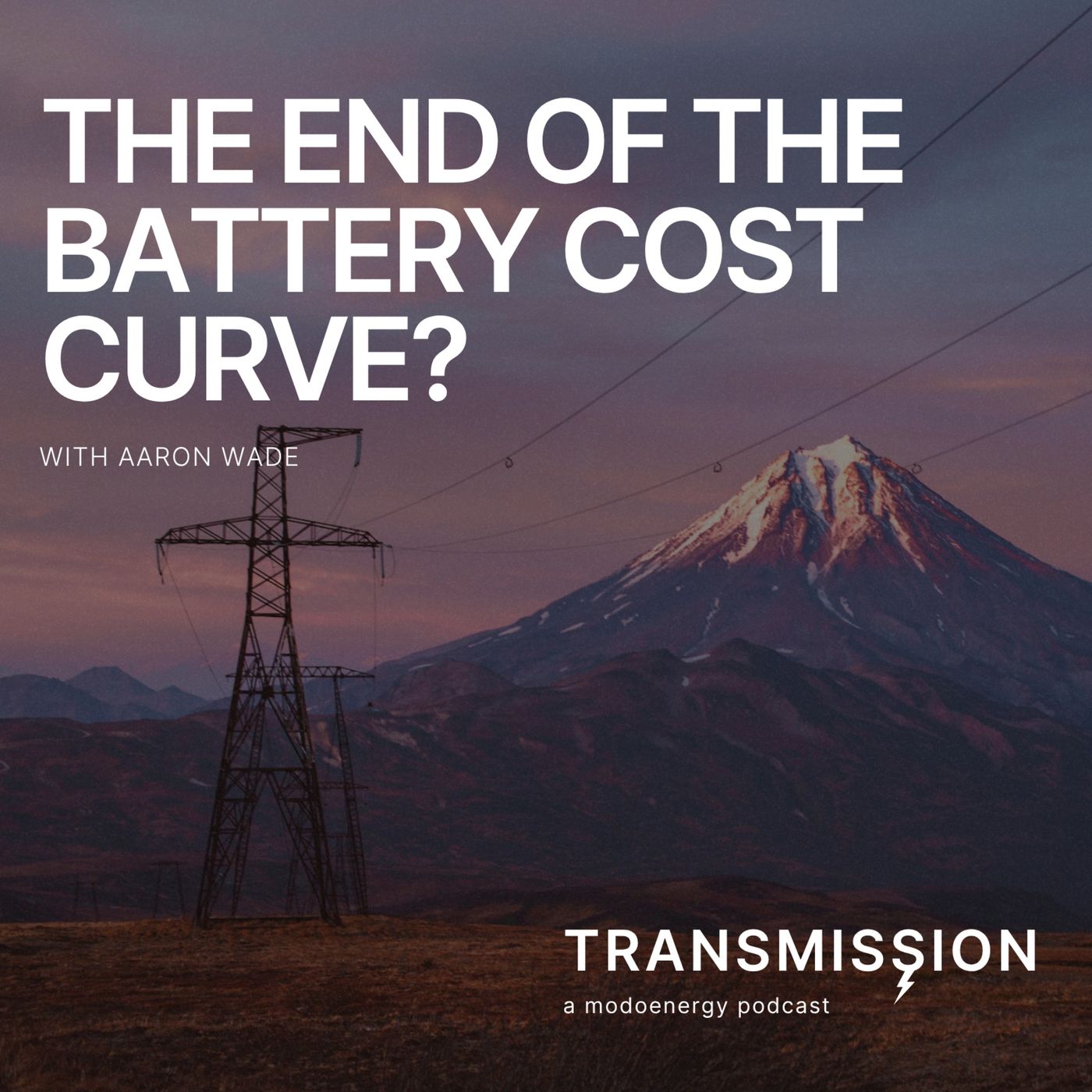 The End of the Cost Curve? What Stable Battery Prices Mean for the Market with Aaron Wade