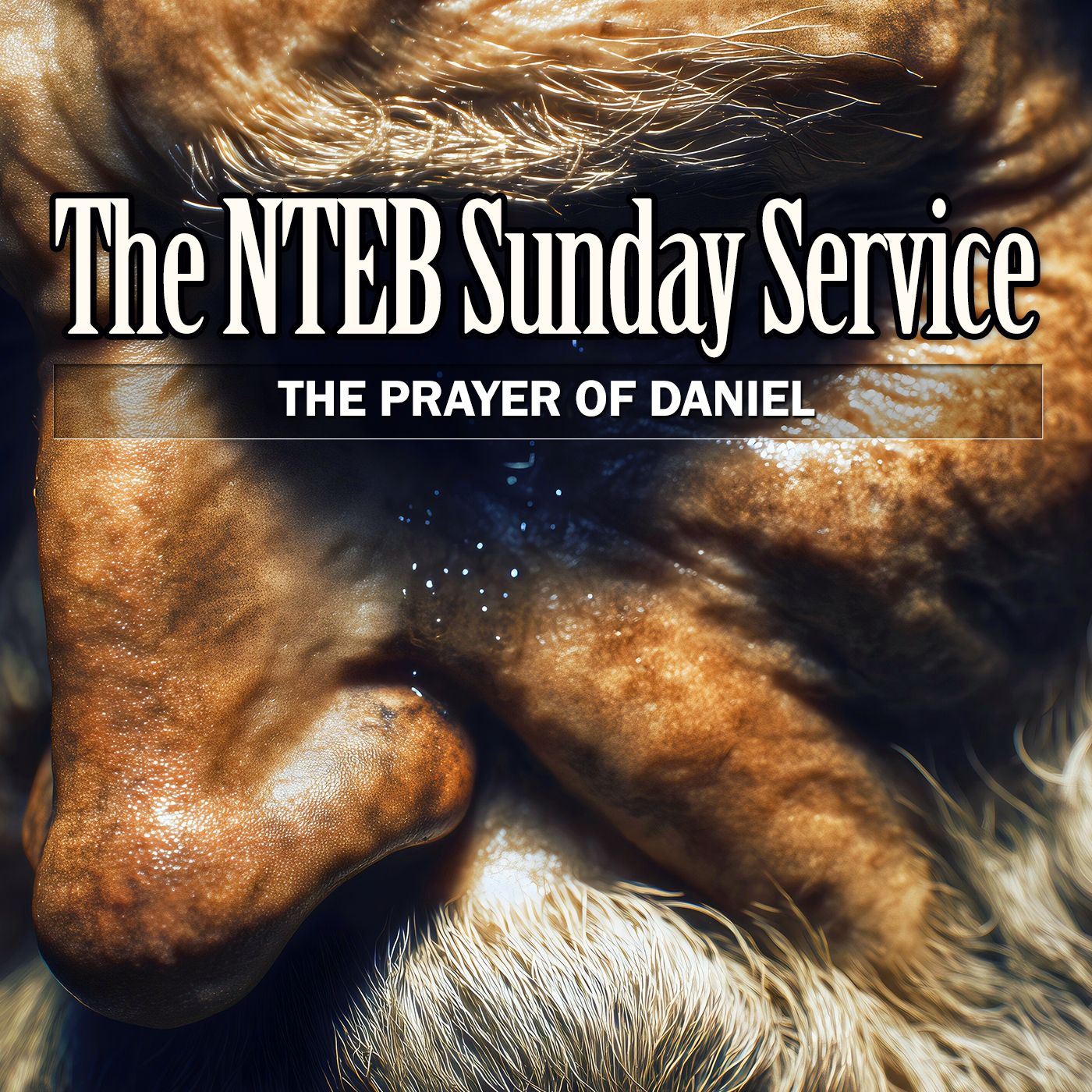 BIBLE BELIEVERS SUNDAY SERVICE: The Prayer Of Daniel episode artwork