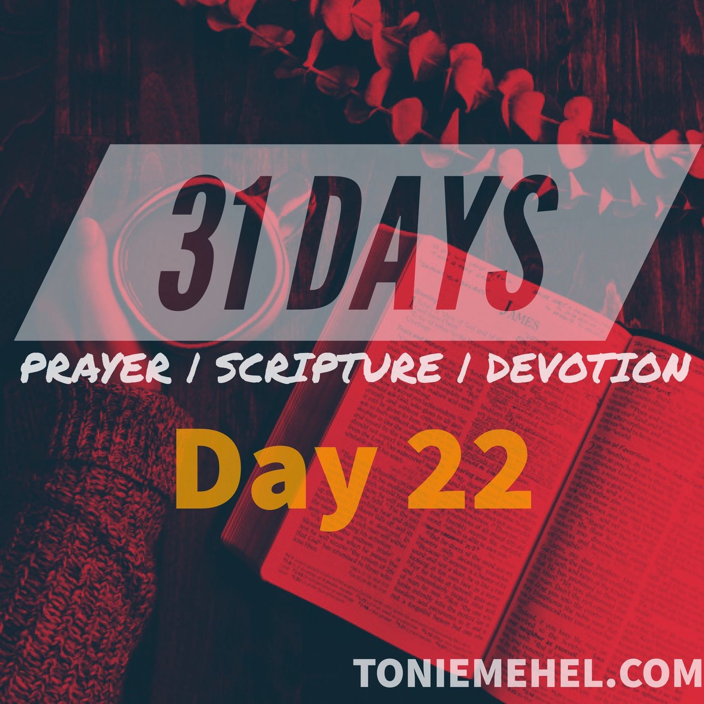 31 Days od Prayer Scripture and Devotion | Prayer for our Schools