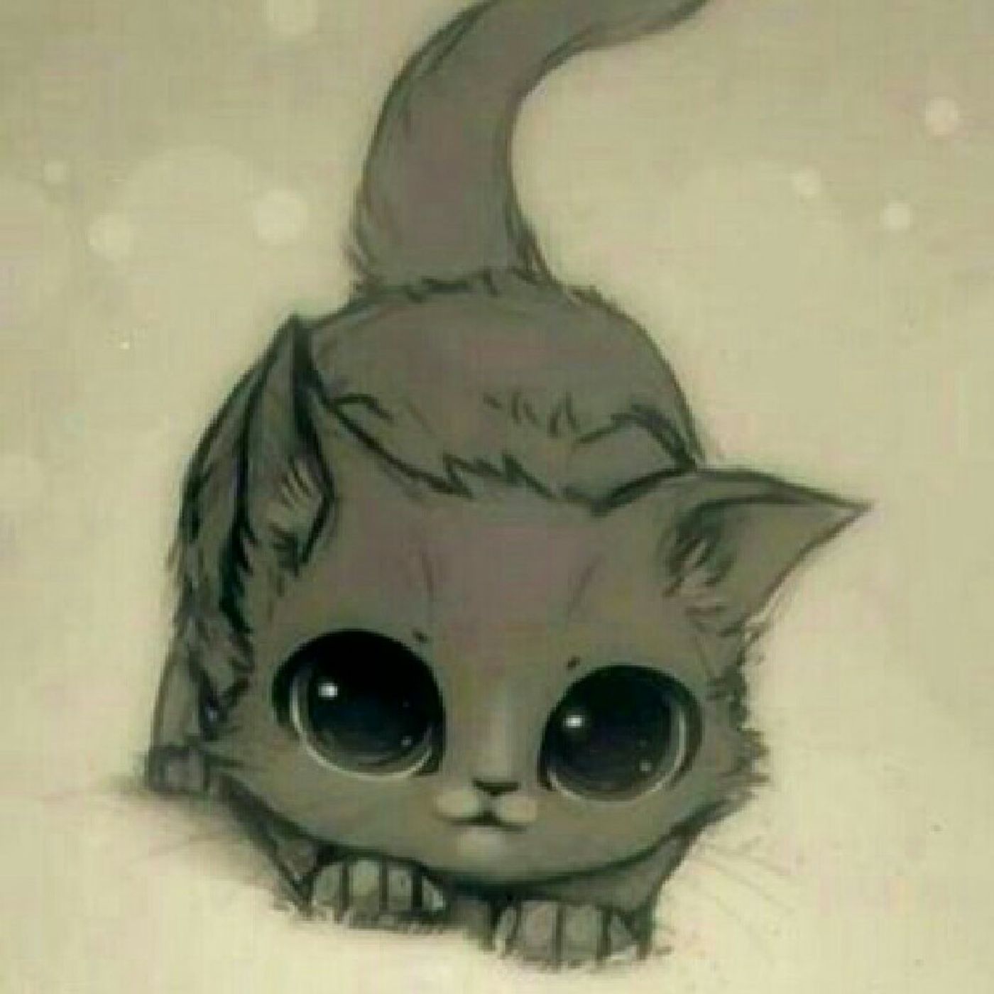 mangli 12 senle's show