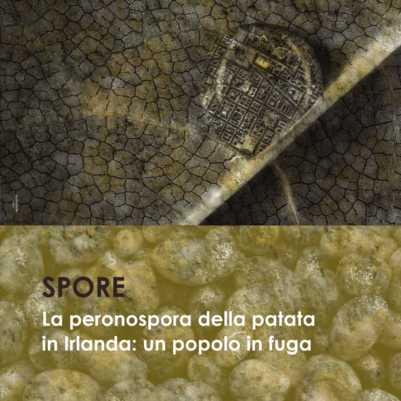 La peronospora della patata in Irlanda: un popolo in fuga episode artwork
