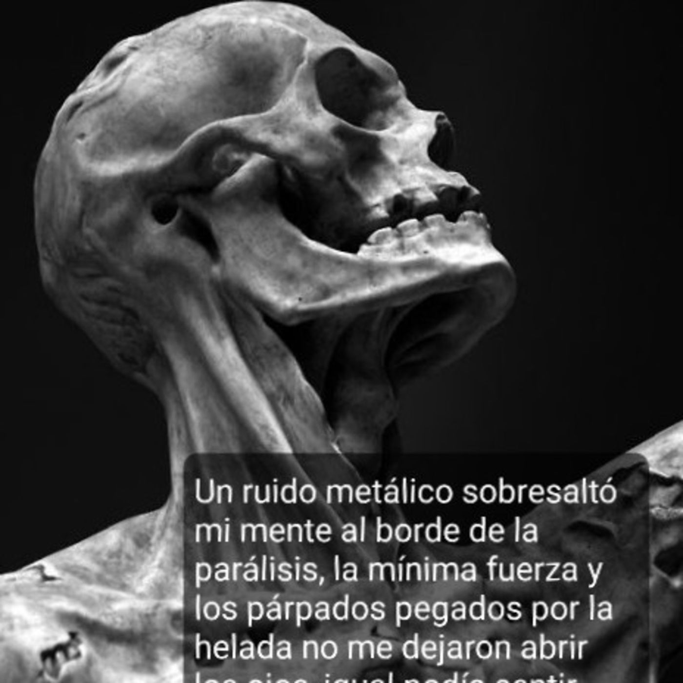 AUN ENTRE LOS VIVOS Relato Suspenso Ficción