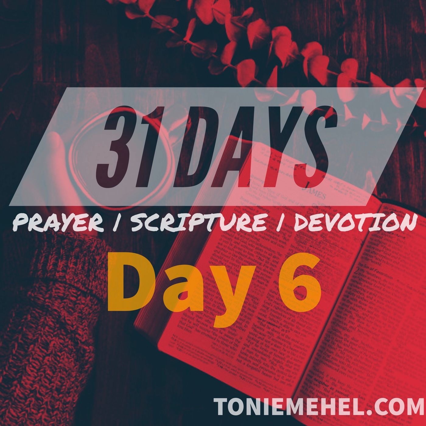 31 Days of Prayer, Scripture and Devotion | A Piece of God episode artwork