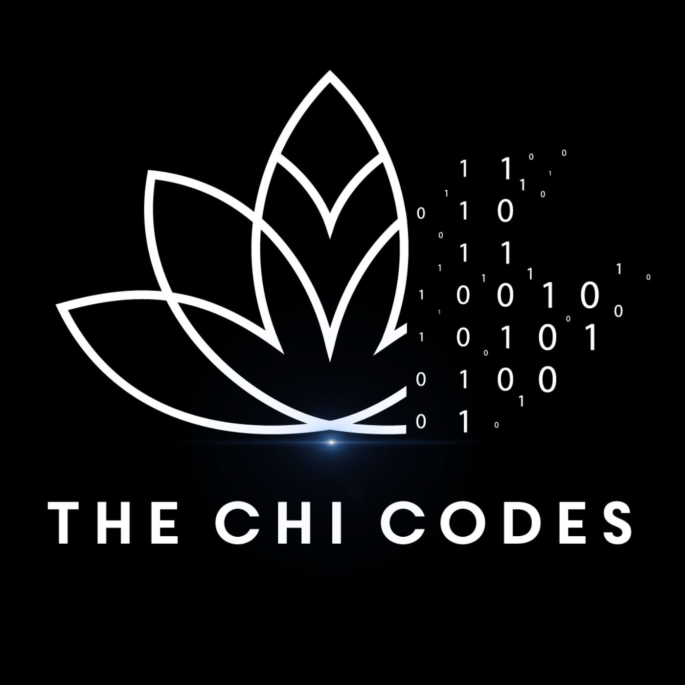 The Chi Codes