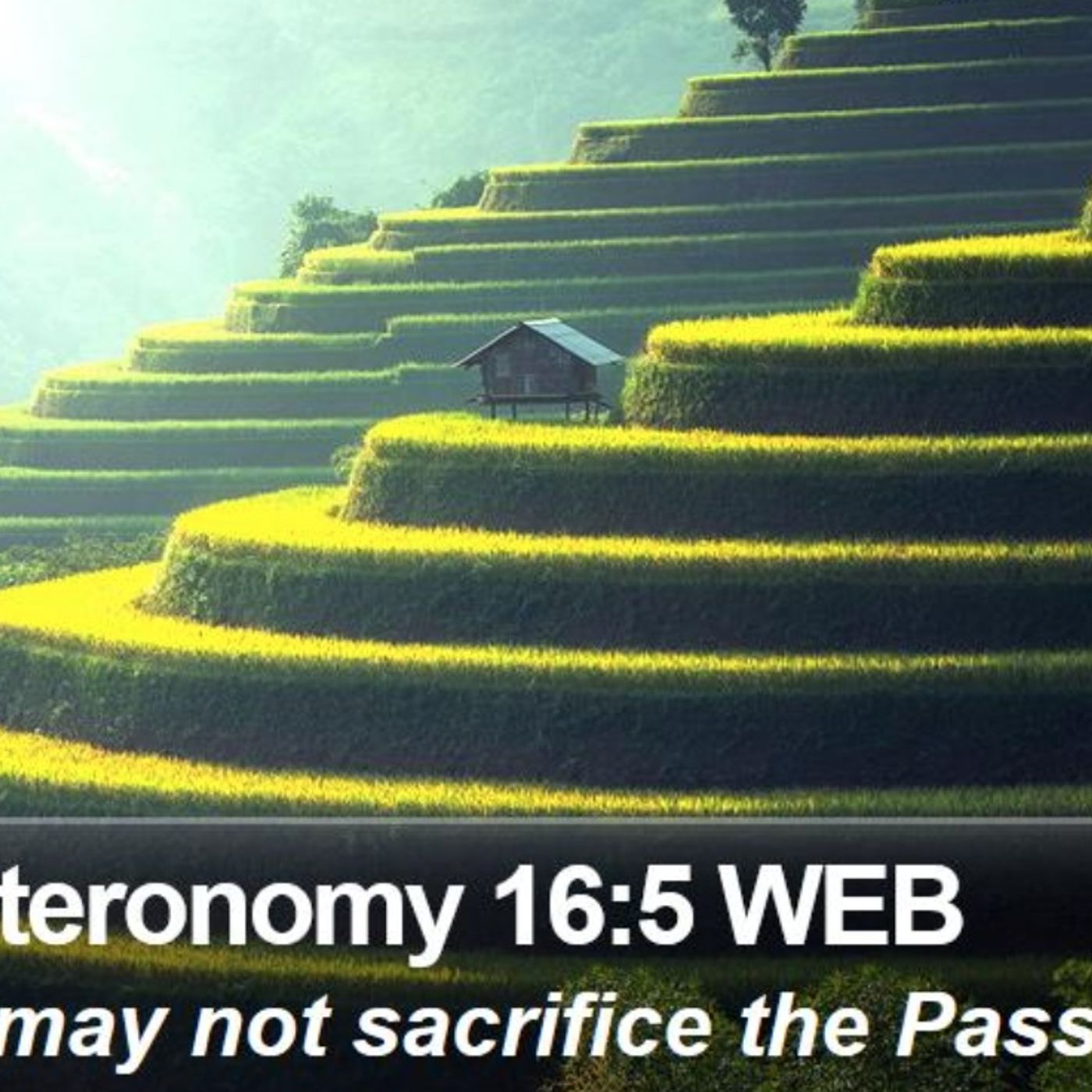 Deuteronomy chapter 16