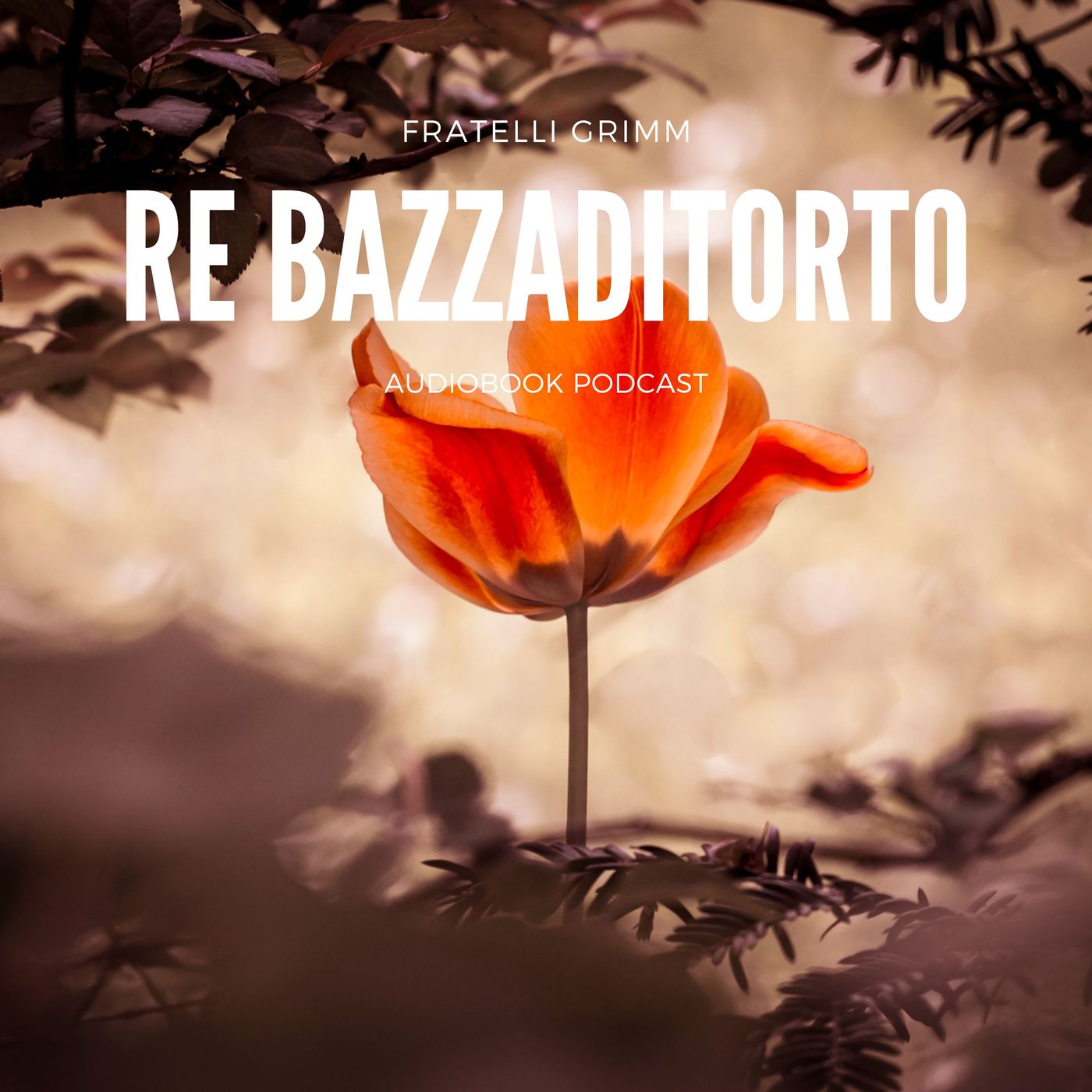 Re bazza di torto, Grimm -audiolibro-