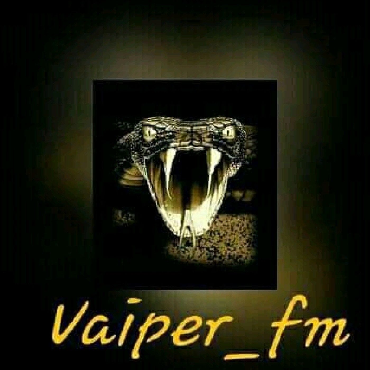 Vaiper Fm