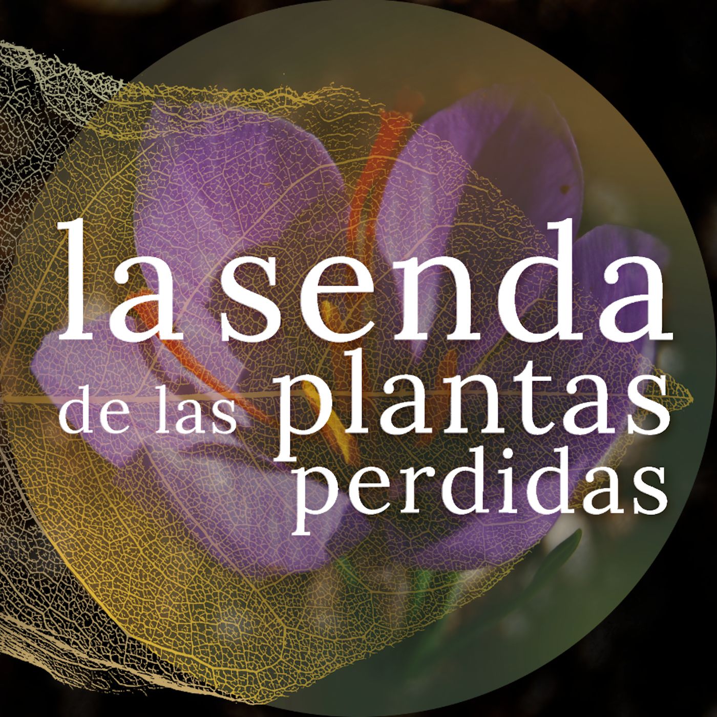 La Senda de las Plantas Perdidas