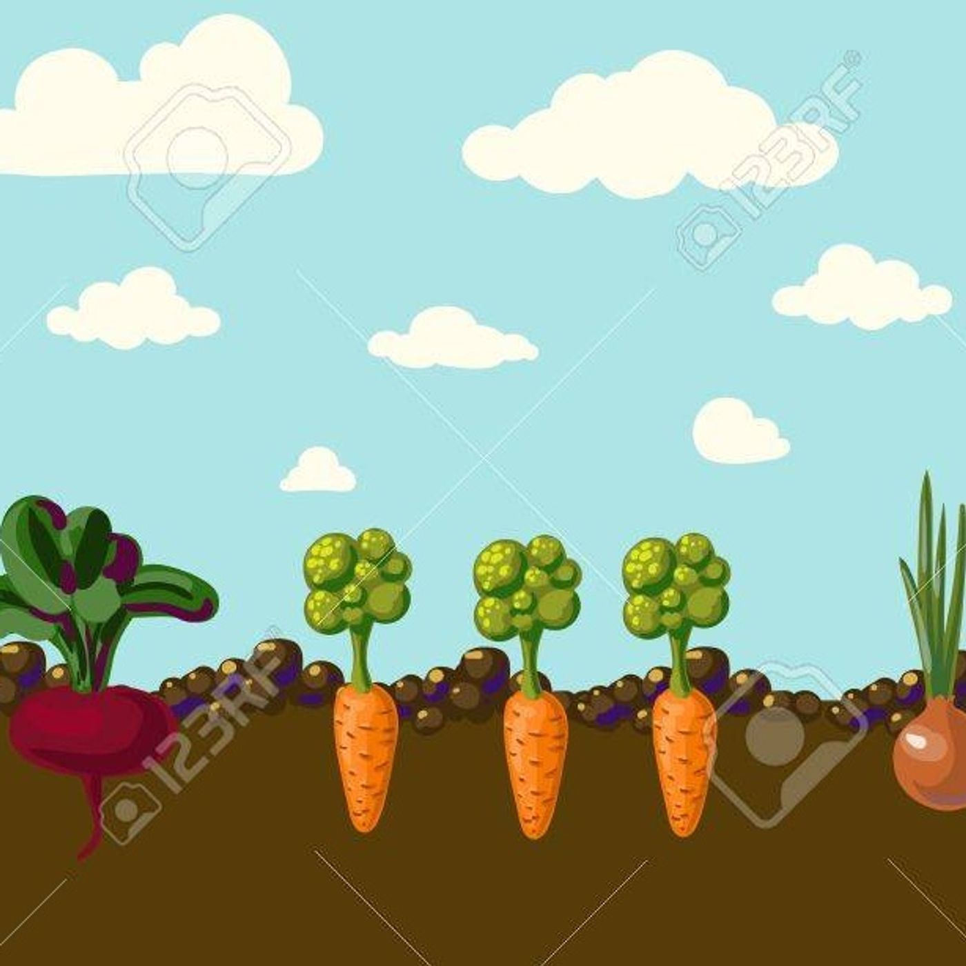 Conoce a nuestras amigas