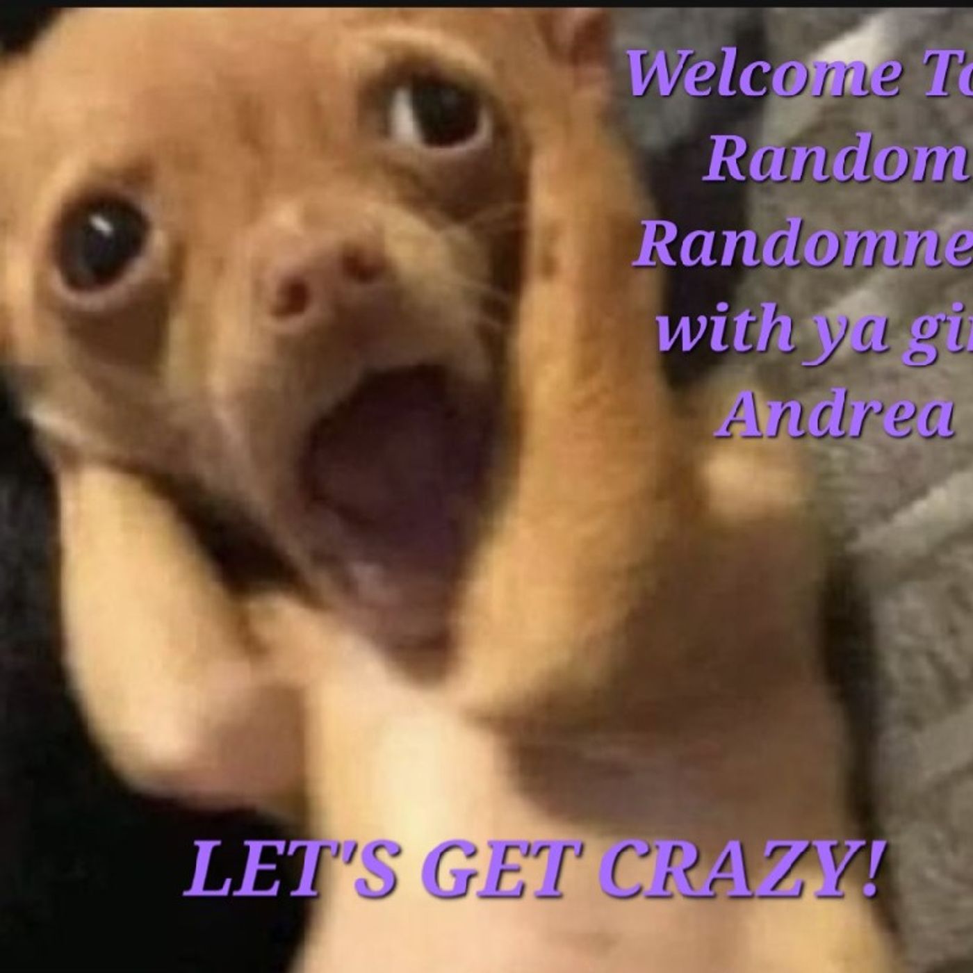 Episode 1 - Random Randomness Intro episode artwork