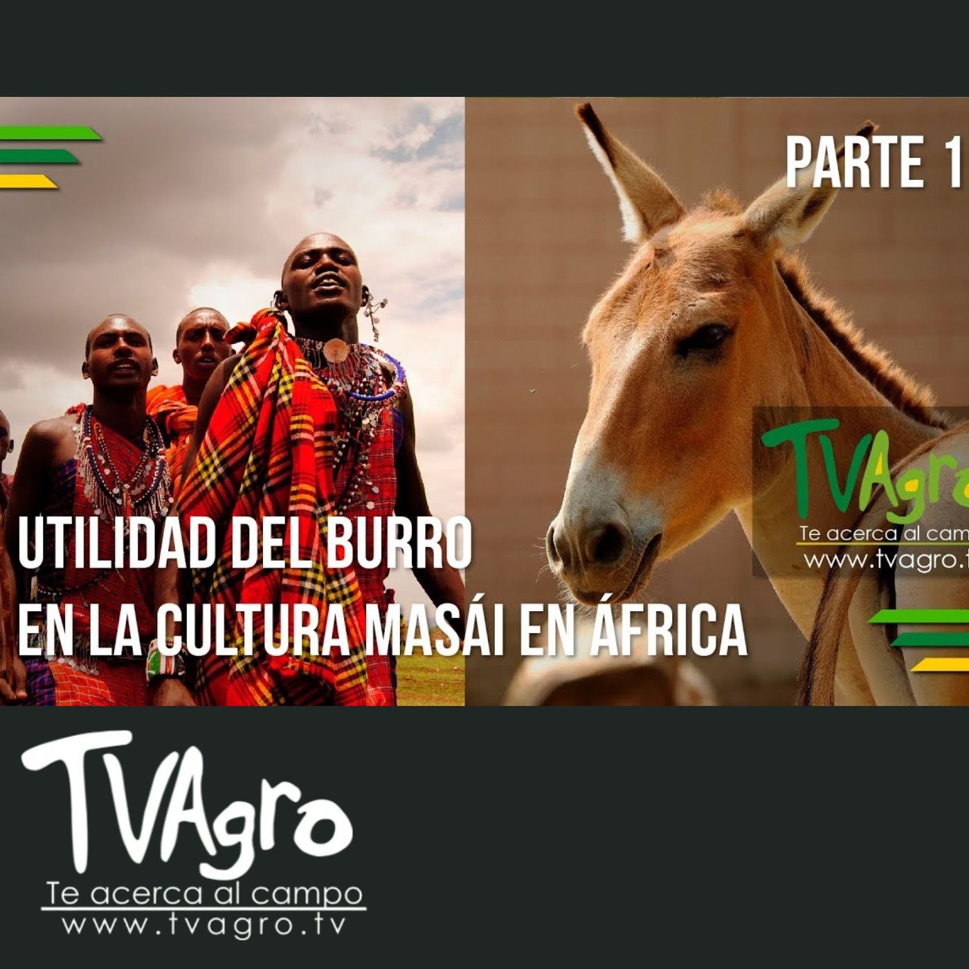 TV AGRO
