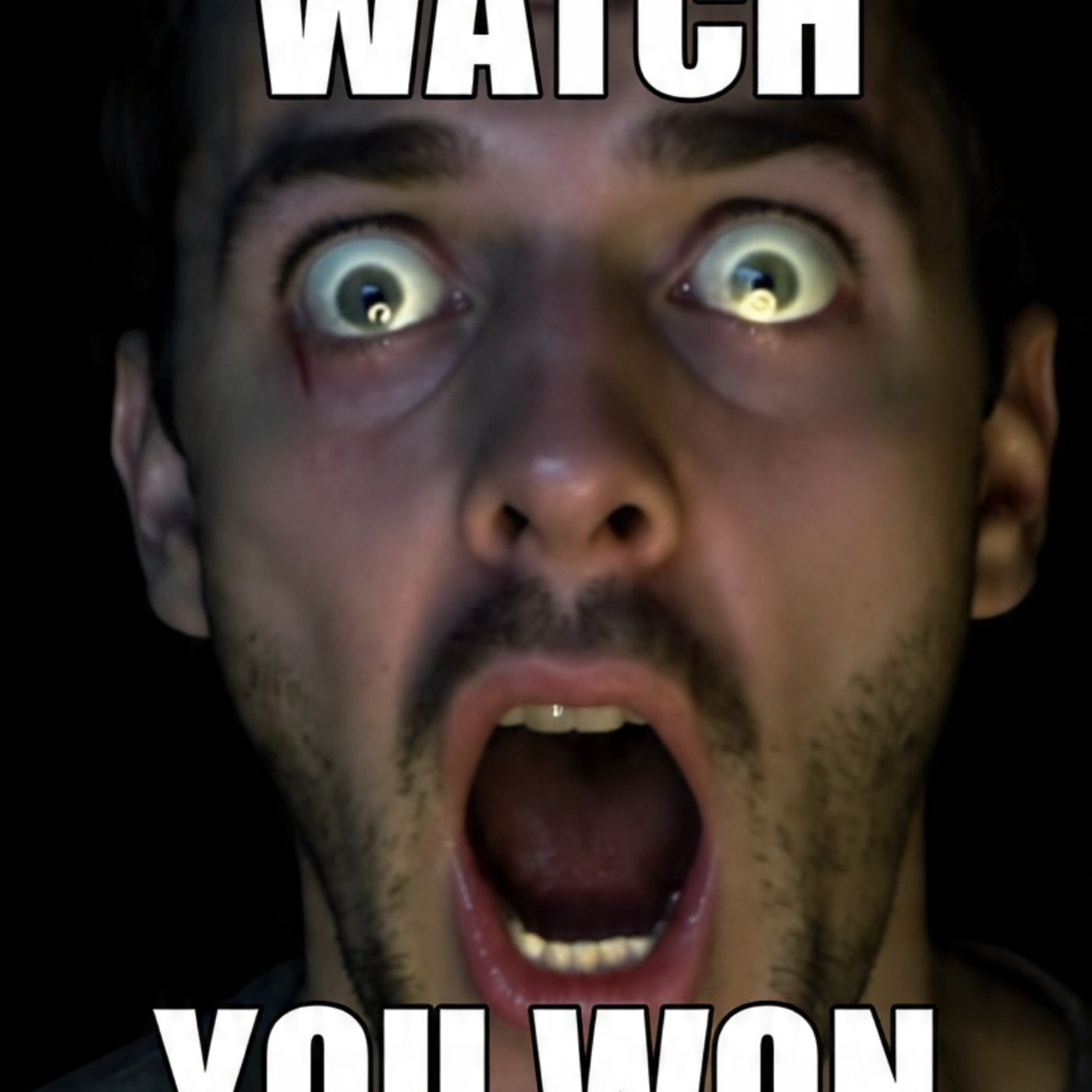 IF-you-can-watch-till-the-end-you-won-t episode artwork