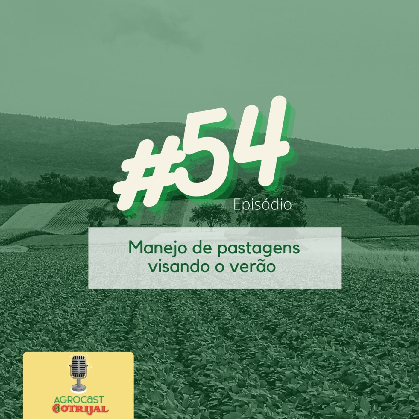 AgroCast Cotrijal