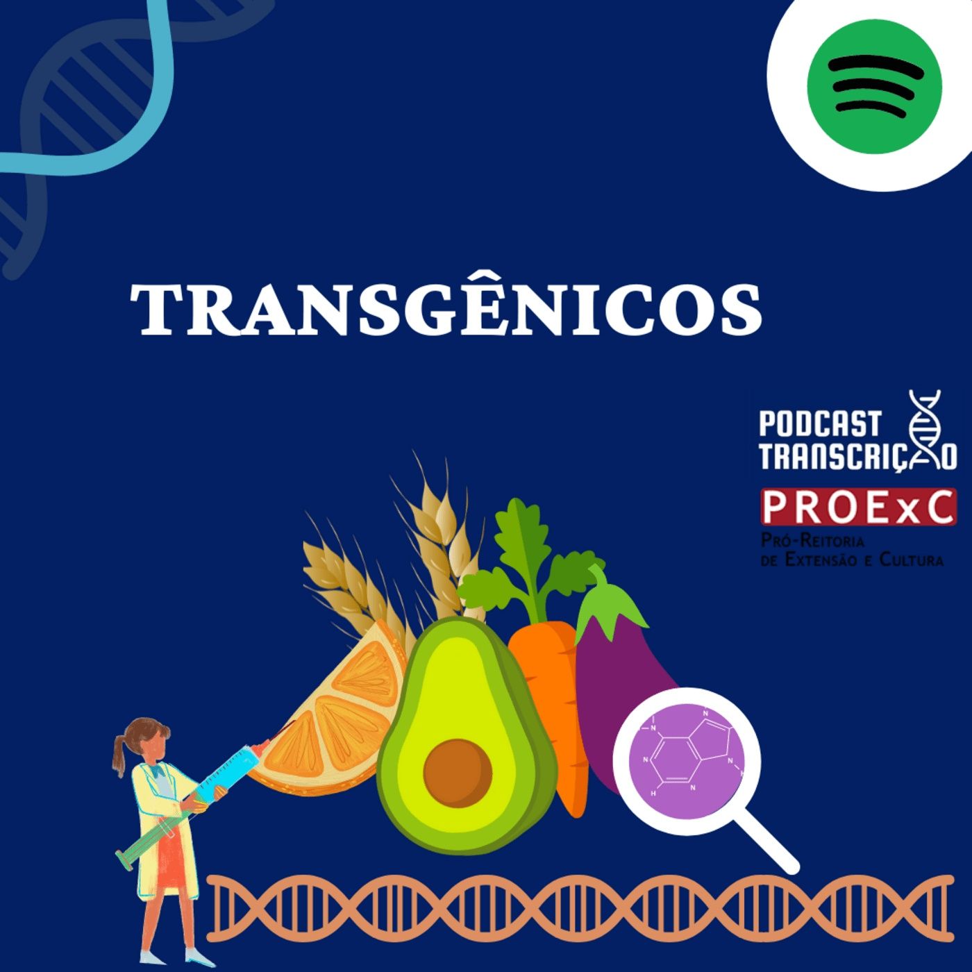 Podcast Transcrição