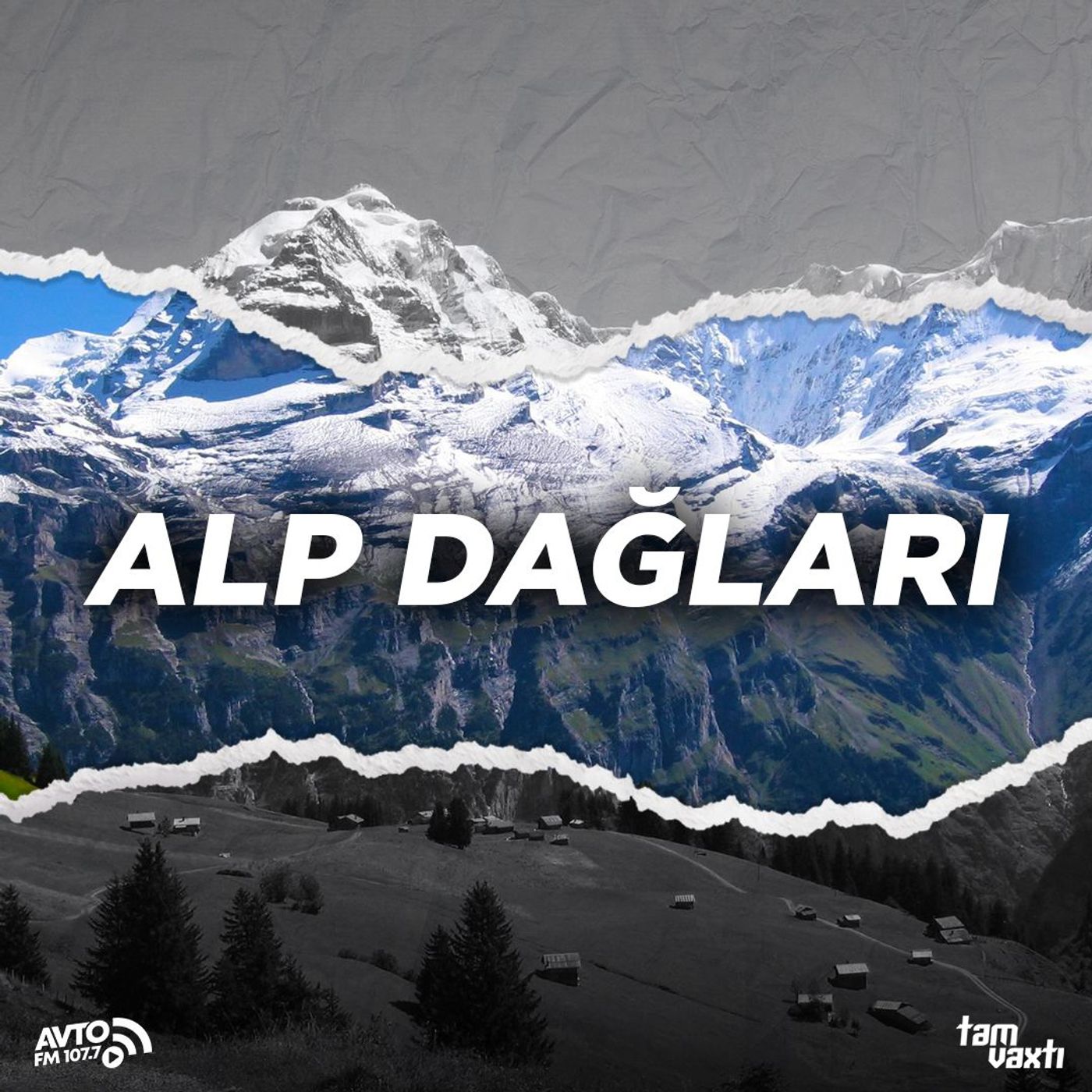 Maldivdə gəzərkən bu meyvə ağacından ehtiyatlı olmalısınız I Yol əhvalatı #466