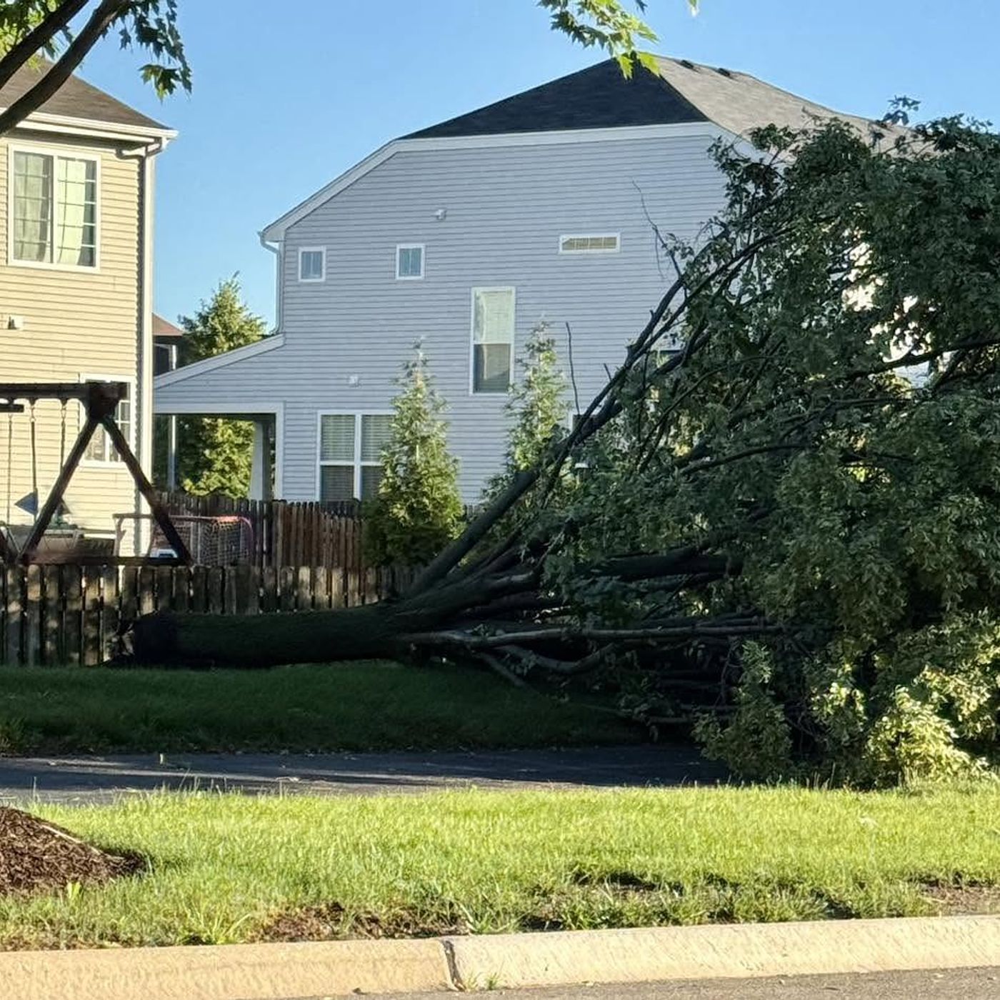 Kendall County residents encouraged to report storm damage for possible county-wide disaster relief episode artwork