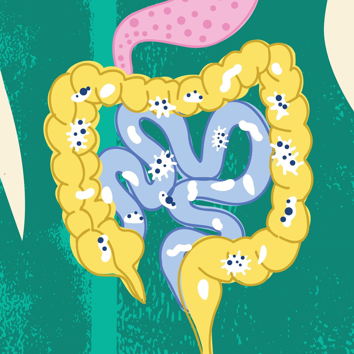 Should I take a probiotic? And other gut questions, answered episode artwork
